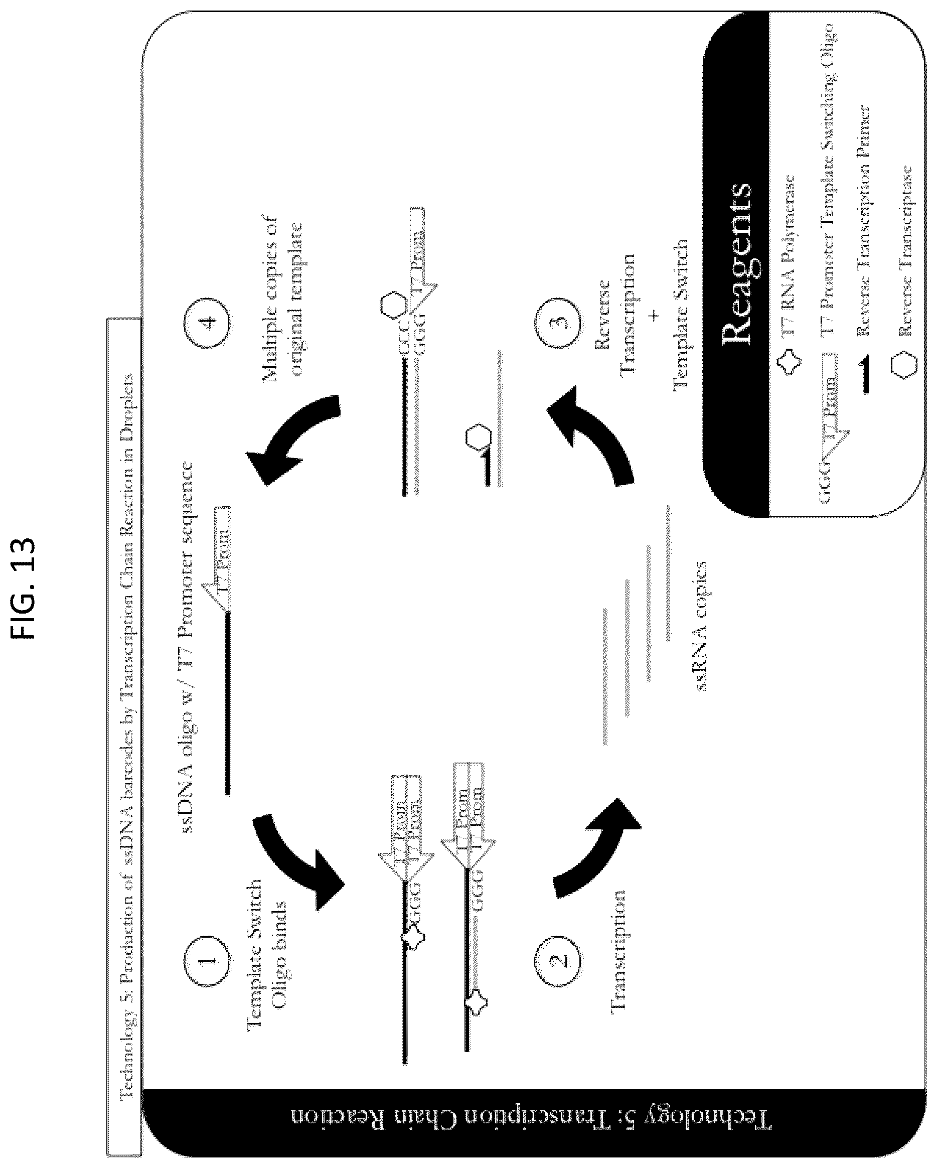Patent US12448643 Figure 13 – Sequencing of nucleic acids via barcoding in discrete entities