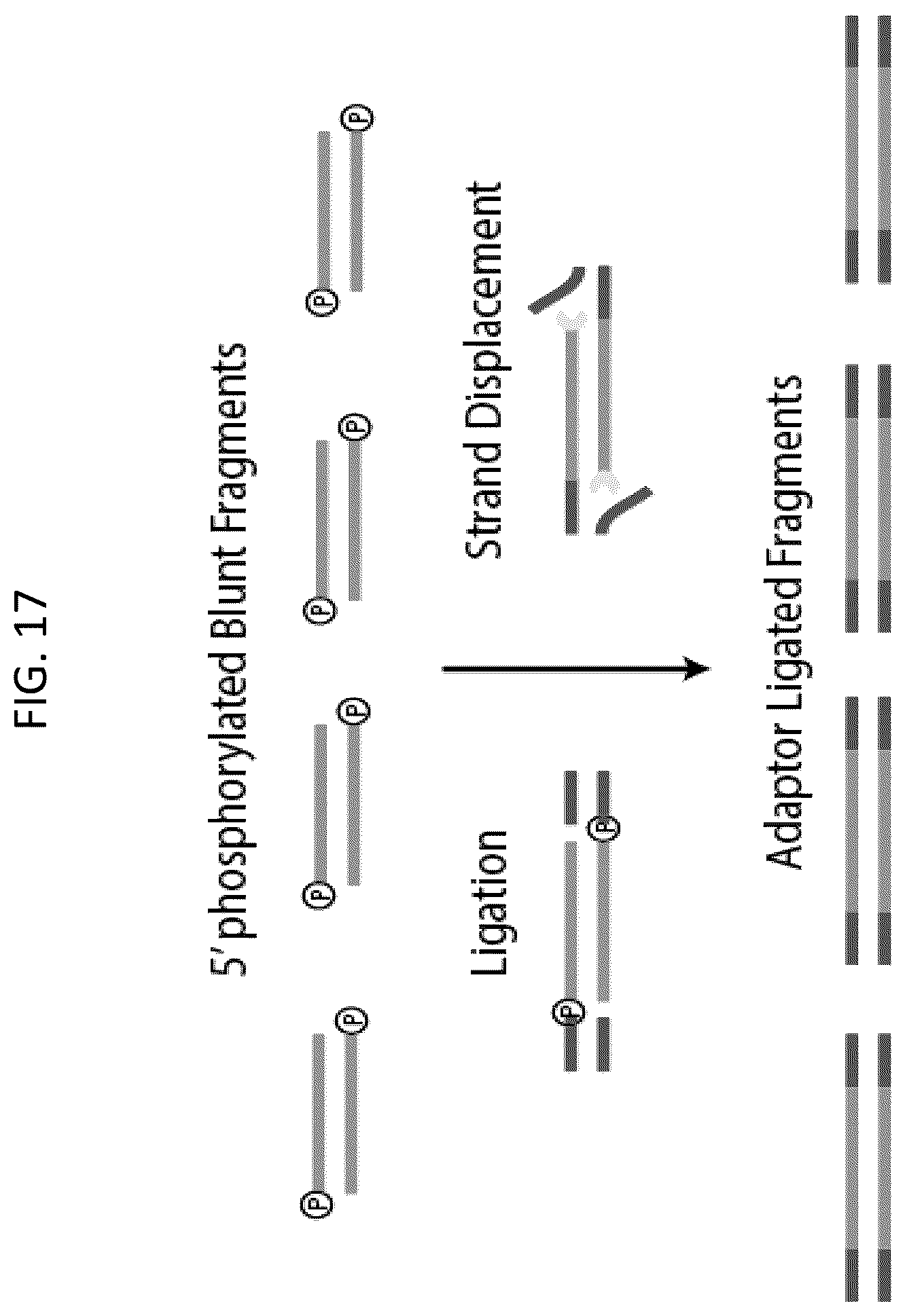 Patent US12448643 Figure 17 – Sequencing of nucleic acids via barcoding in discrete entities