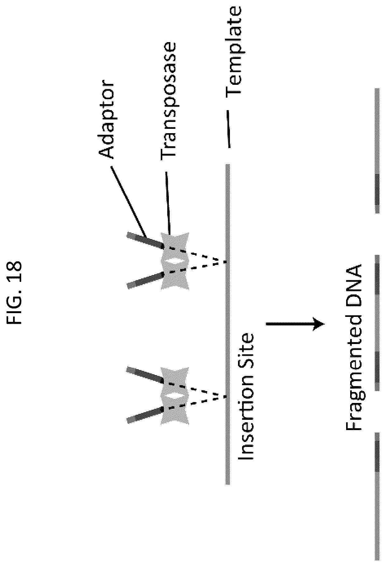Patent US12448643 Figure 18 – Sequencing of nucleic acids via barcoding in discrete entities