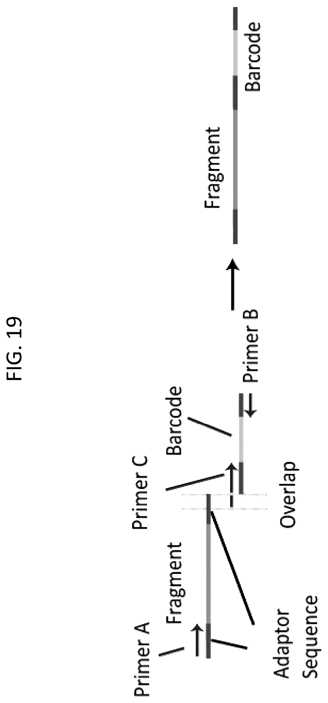Patent US12448643 Figure 19 – Sequencing of nucleic acids via barcoding in discrete entities