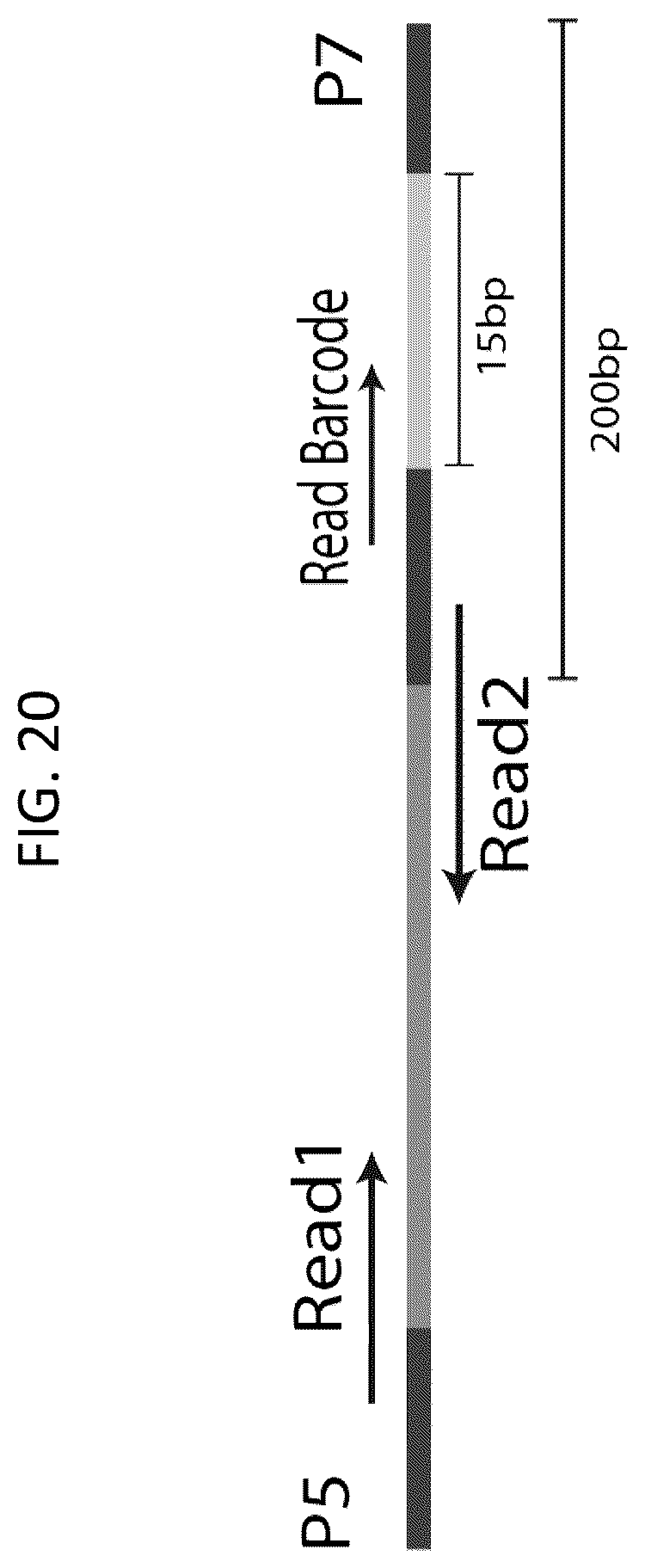 Patent US12448643 Figure 20 – Sequencing of nucleic acids via barcoding in discrete entities