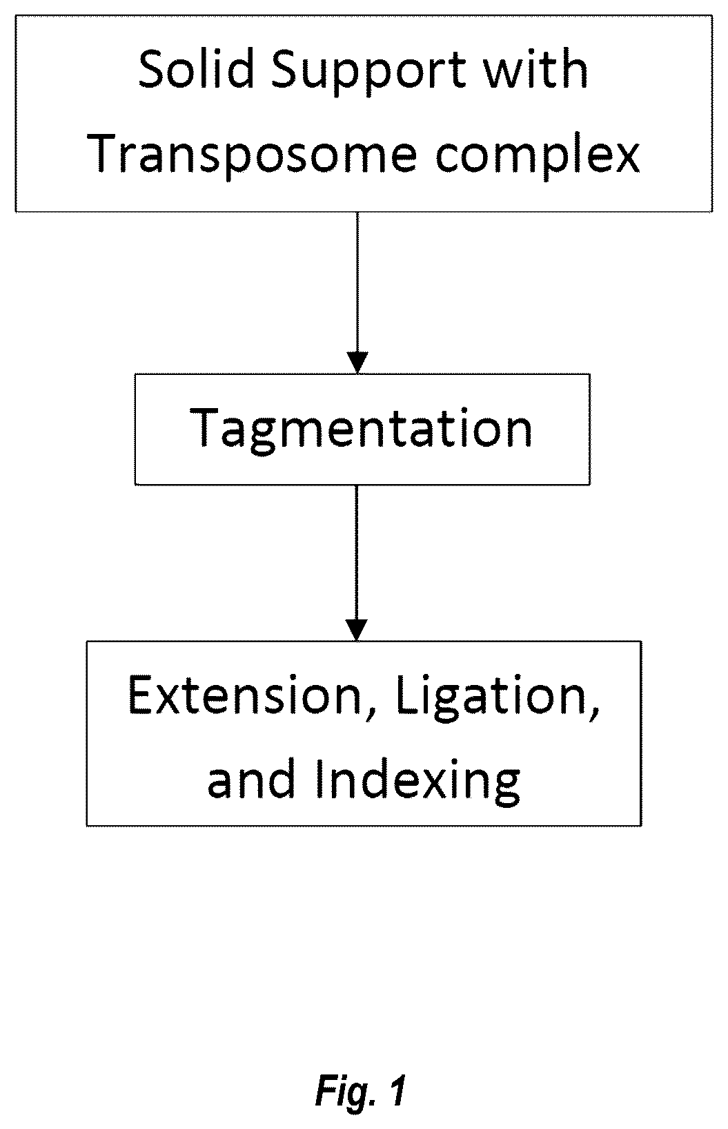 Patent US12448644 — Complex surface-bound transposome complexes — Figure 1