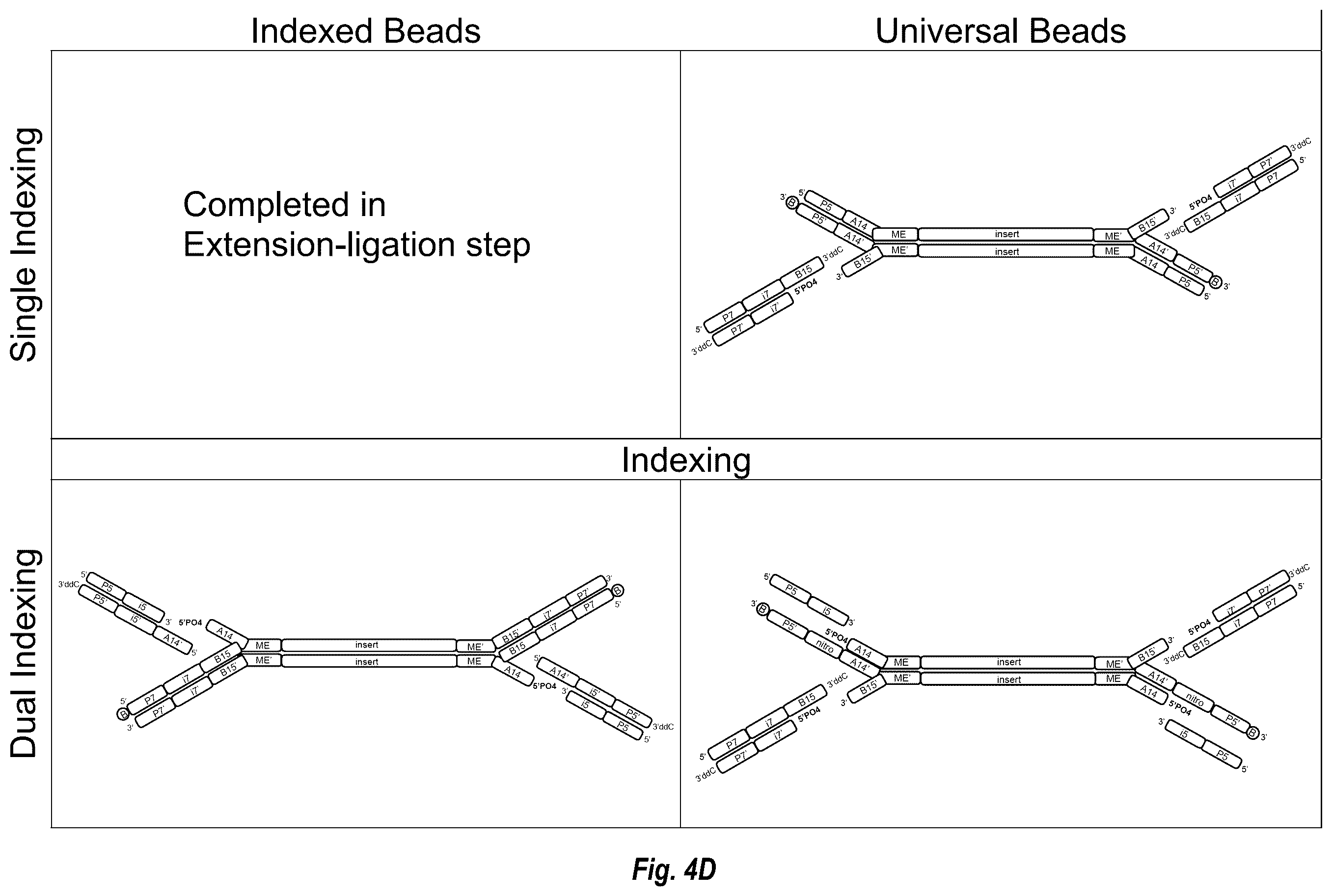 Patent US12448644 Figure 10 – Complex surface-bound transposome complexes
