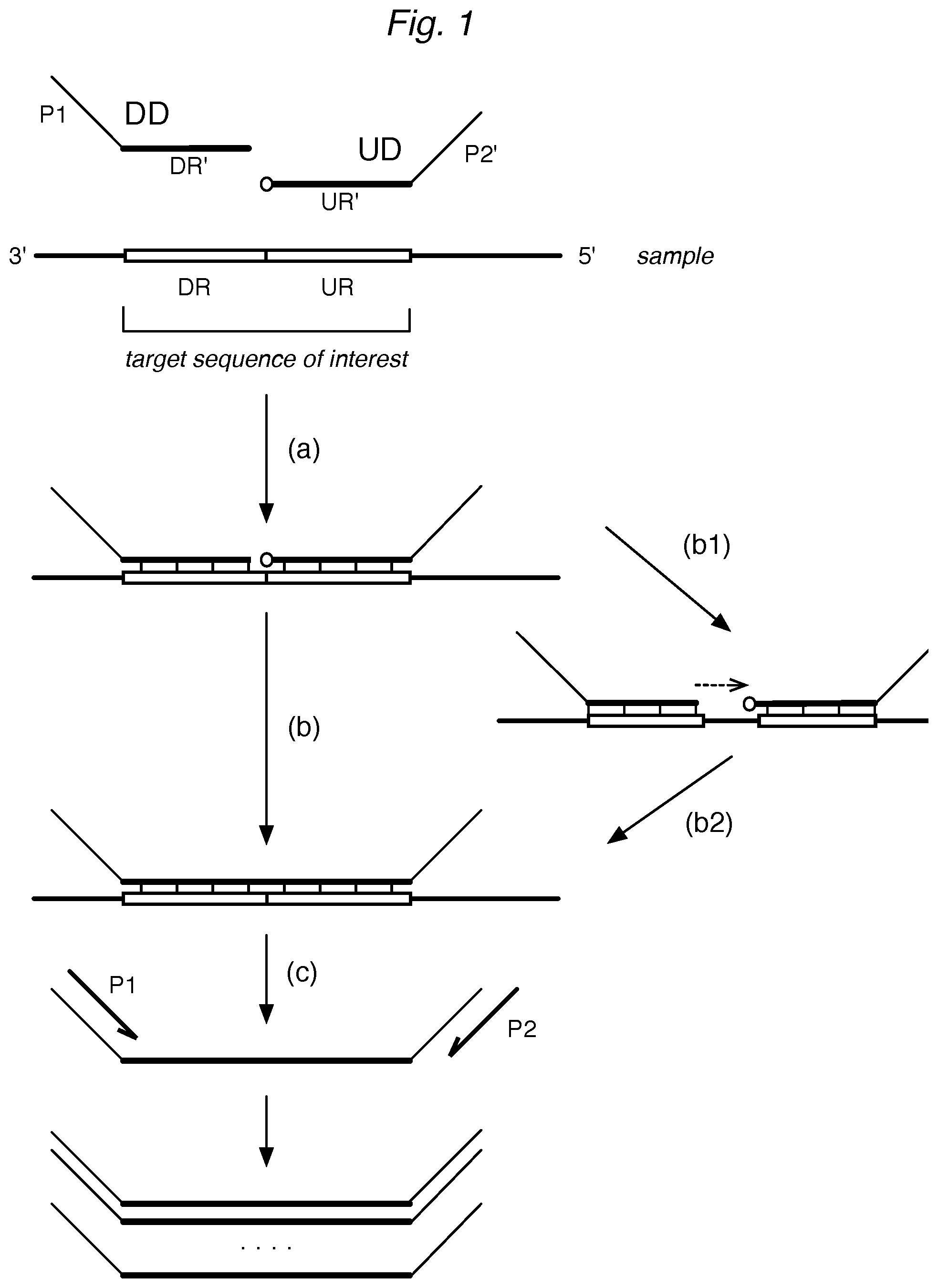 Patent US12448645 Figure 1 – Profiling expression at transcriptome scale