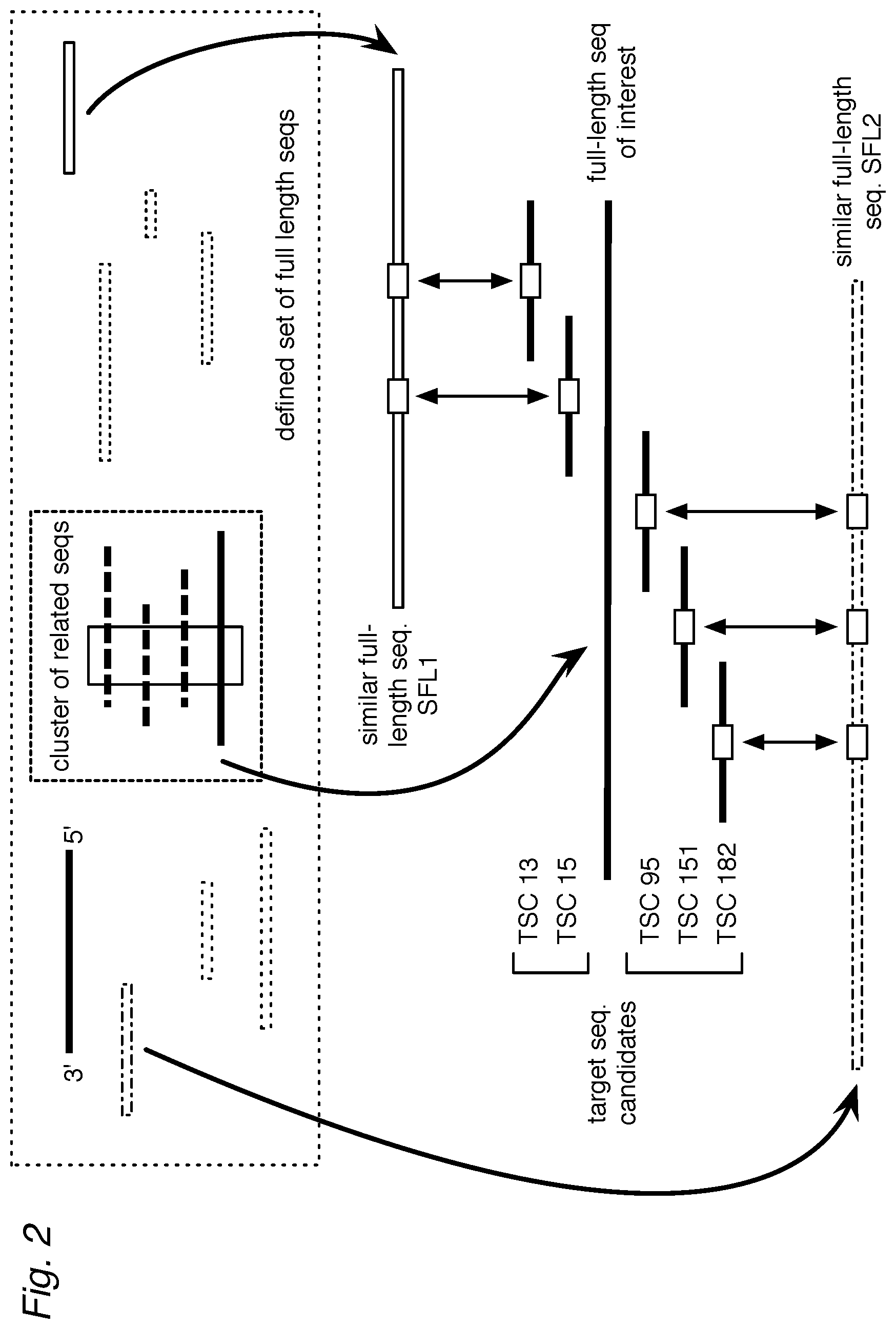 Patent US12448645 Figure 2 – Profiling expression at transcriptome scale