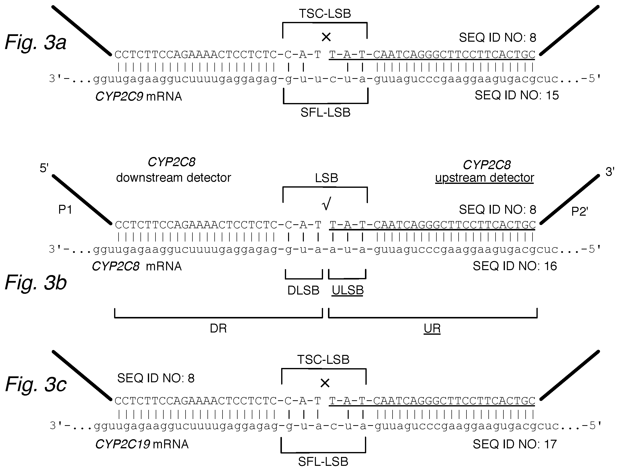 Patent US12448645 Figure 3 – Profiling expression at transcriptome scale