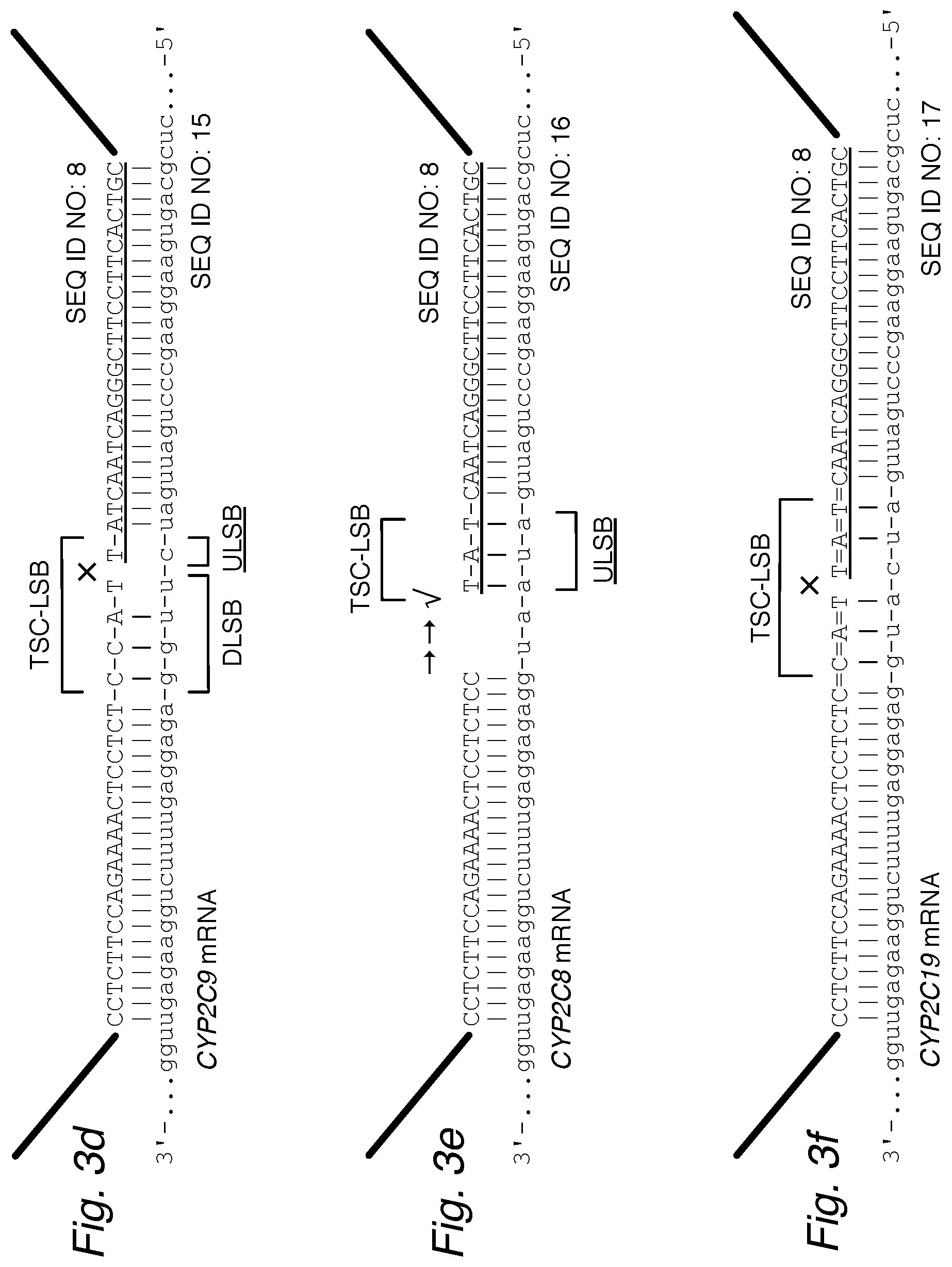 Patent US12448645 Figure 4 – Profiling expression at transcriptome scale