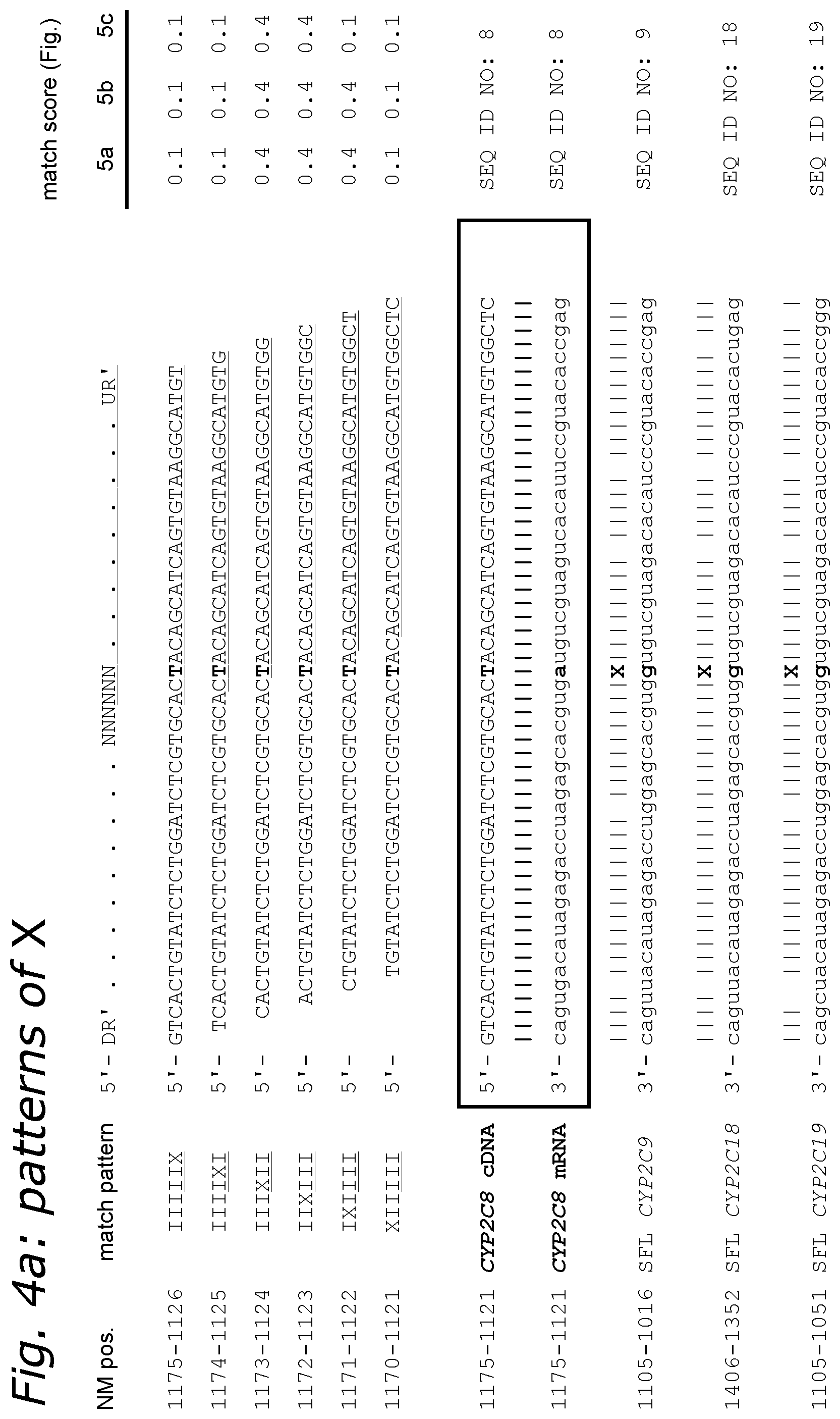 Patent US12448645 Figure 5 – Profiling expression at transcriptome scale