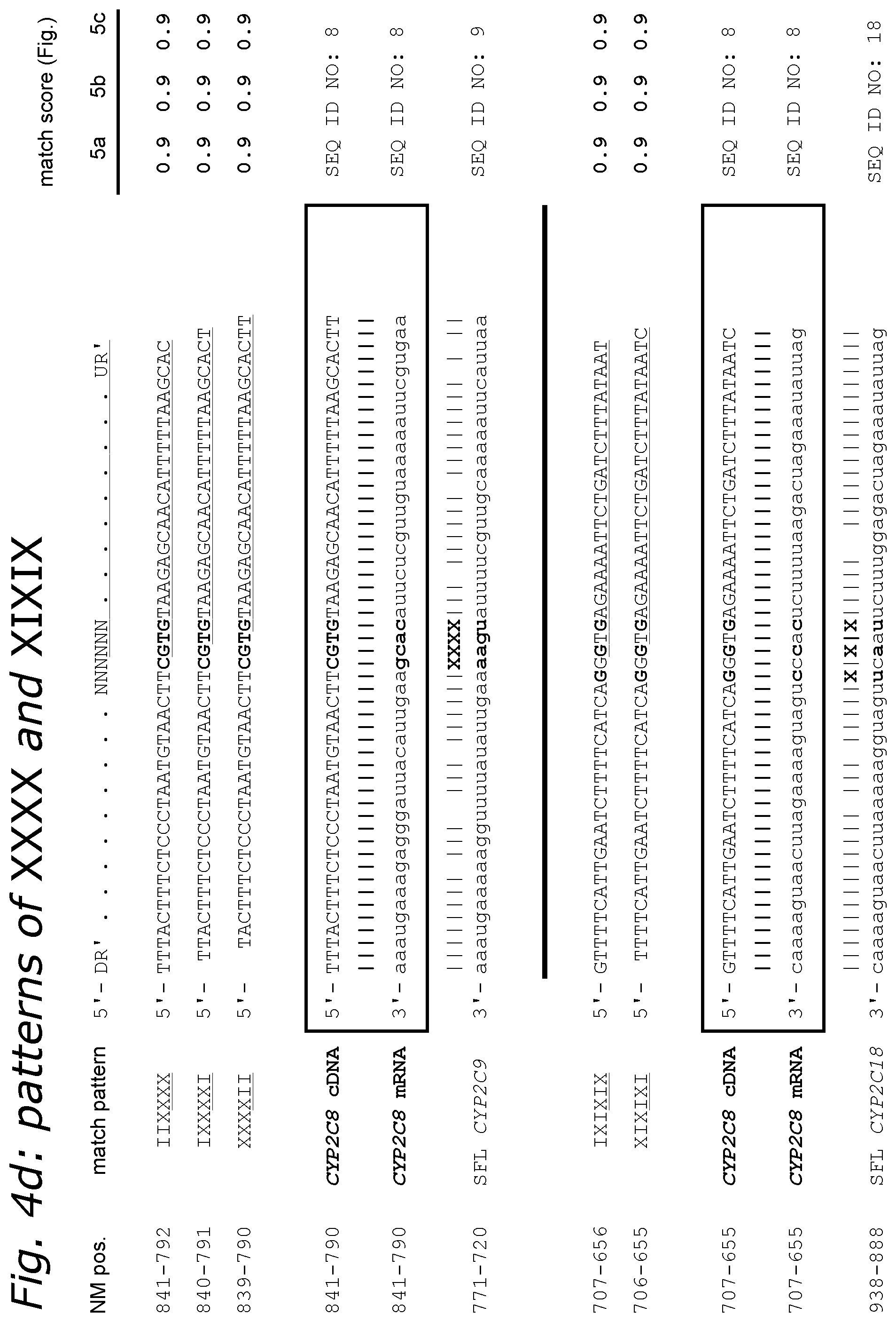 Patent US12448645 Figure 8 – Profiling expression at transcriptome scale