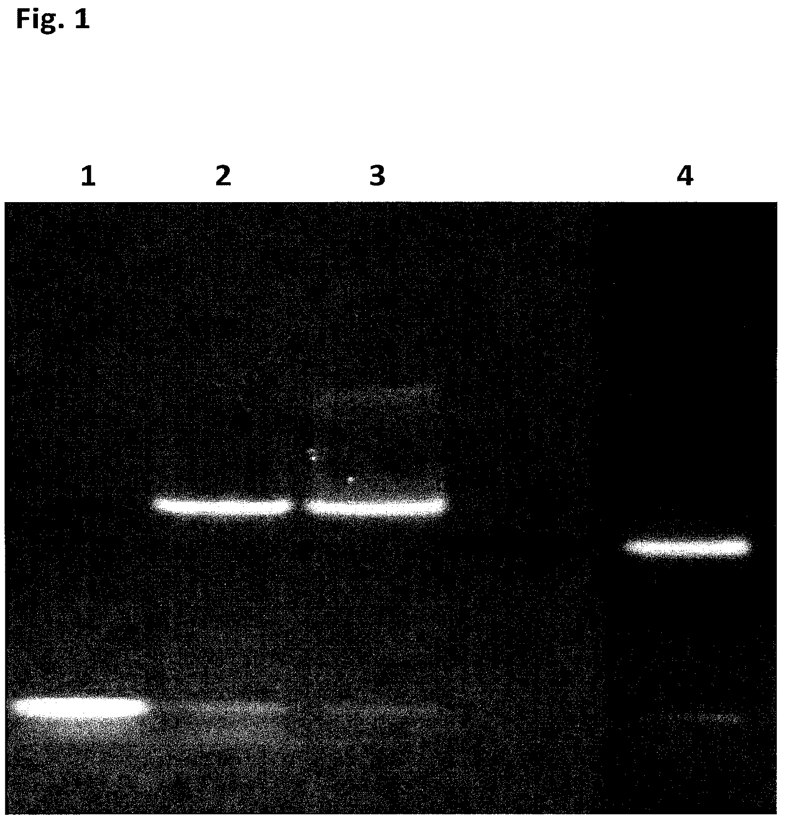 Patent US12448646 Figure 1 – SSB method