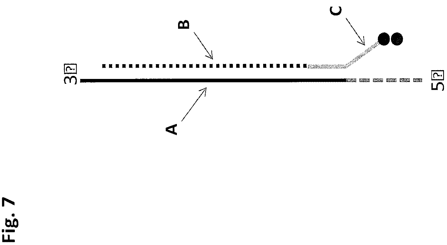 Patent US12448646 Figure 7 – SSB method