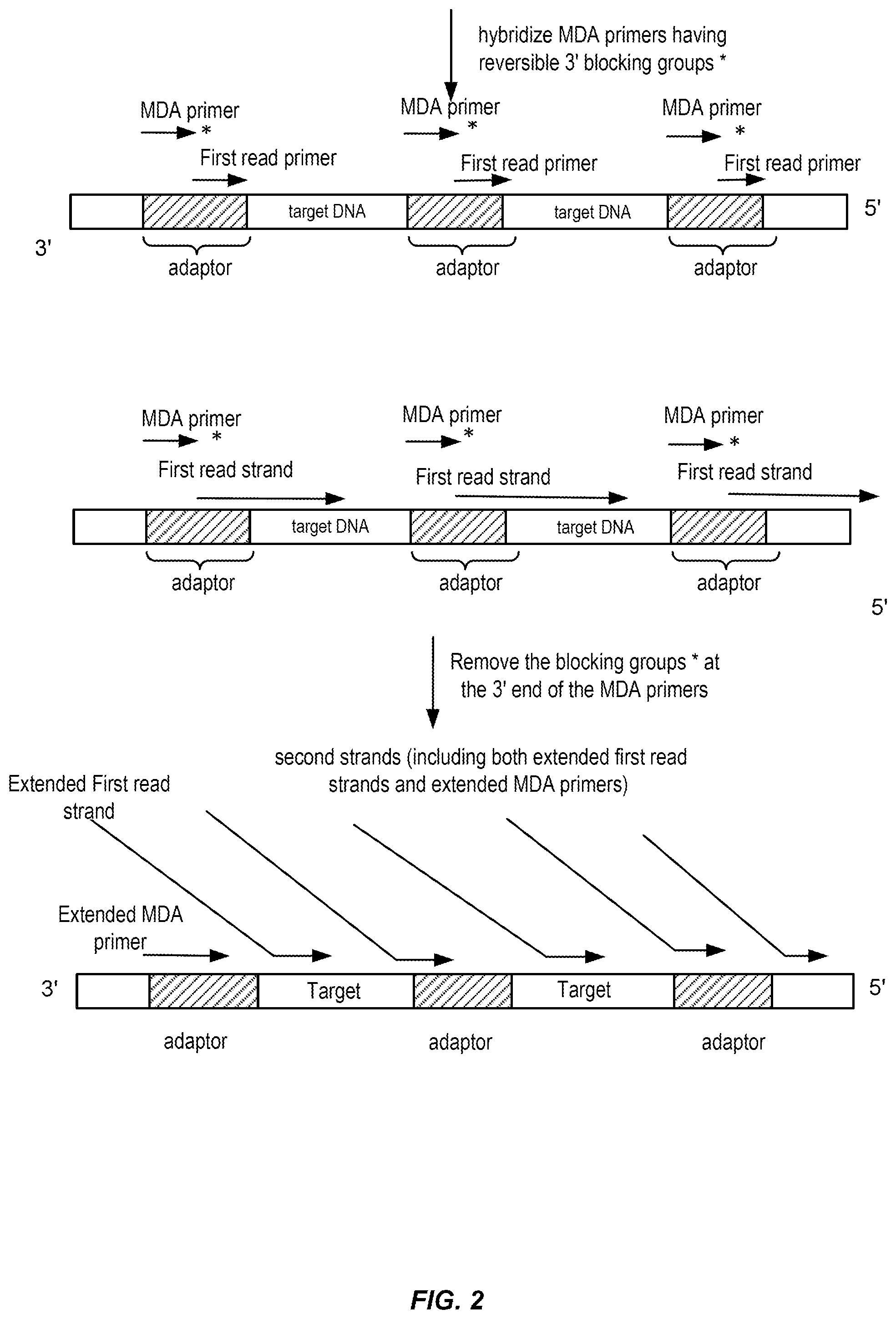 Patent US12448648 Figure 2 – Controlled strand-displacement for paired end sequencing