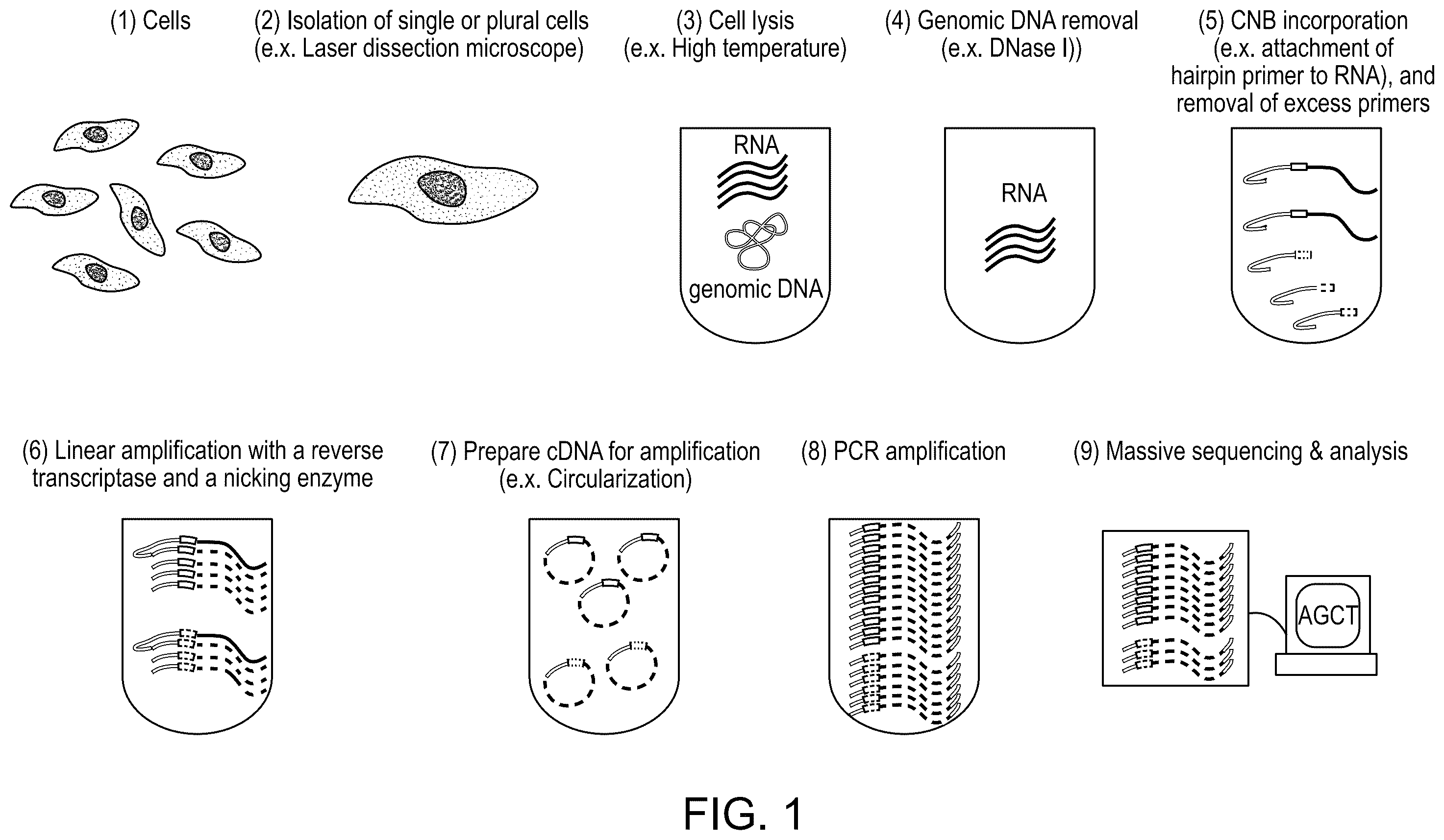 Patent US12448649 — Single cell nucleic acid detection and analysis — Figure 1