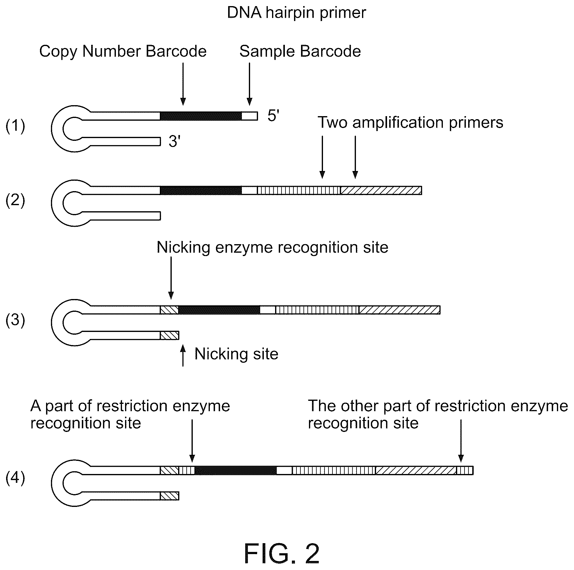 Patent US12448649 Figure 2 – Single cell nucleic acid detection and analysis