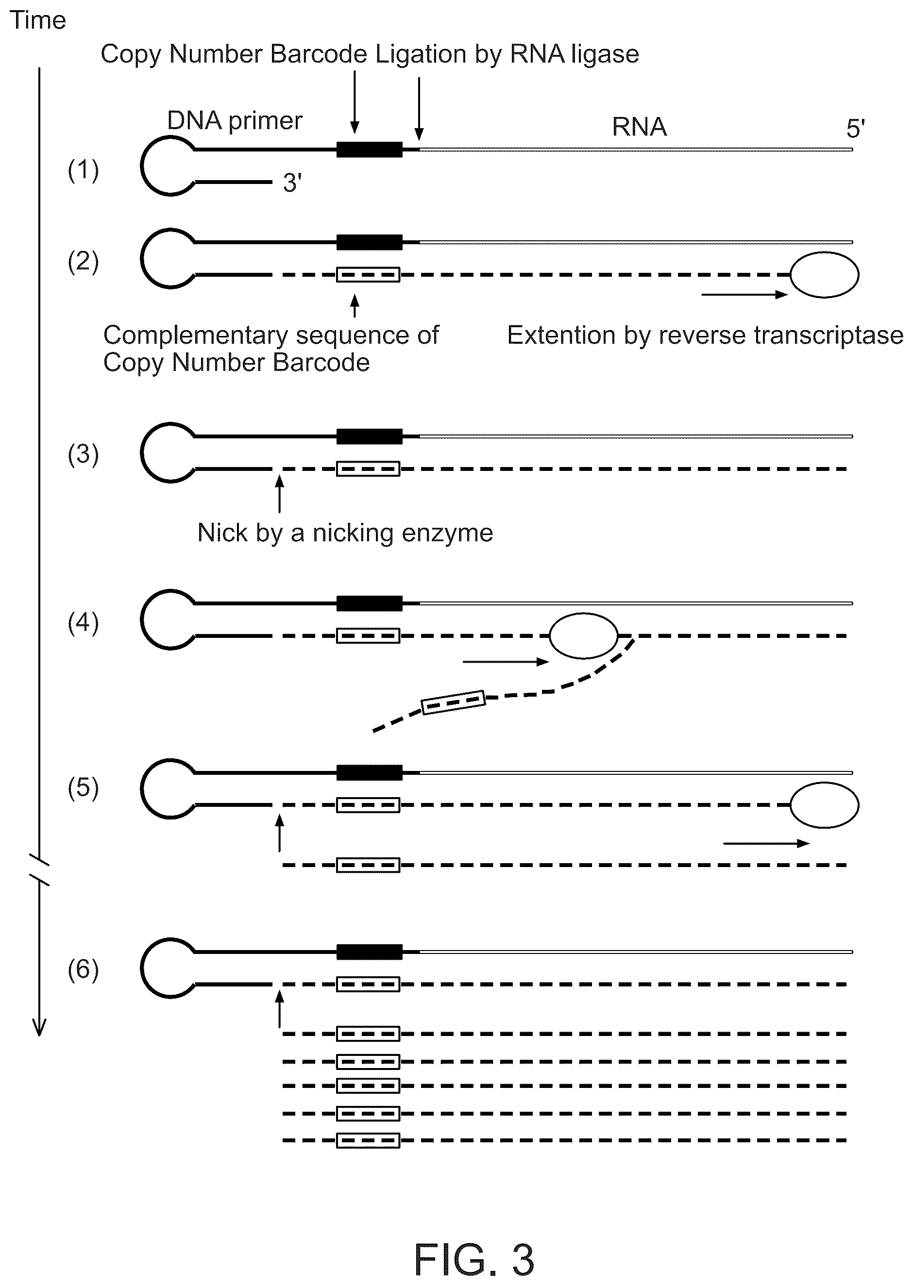 Patent US12448649 Figure 3 – Single cell nucleic acid detection and analysis