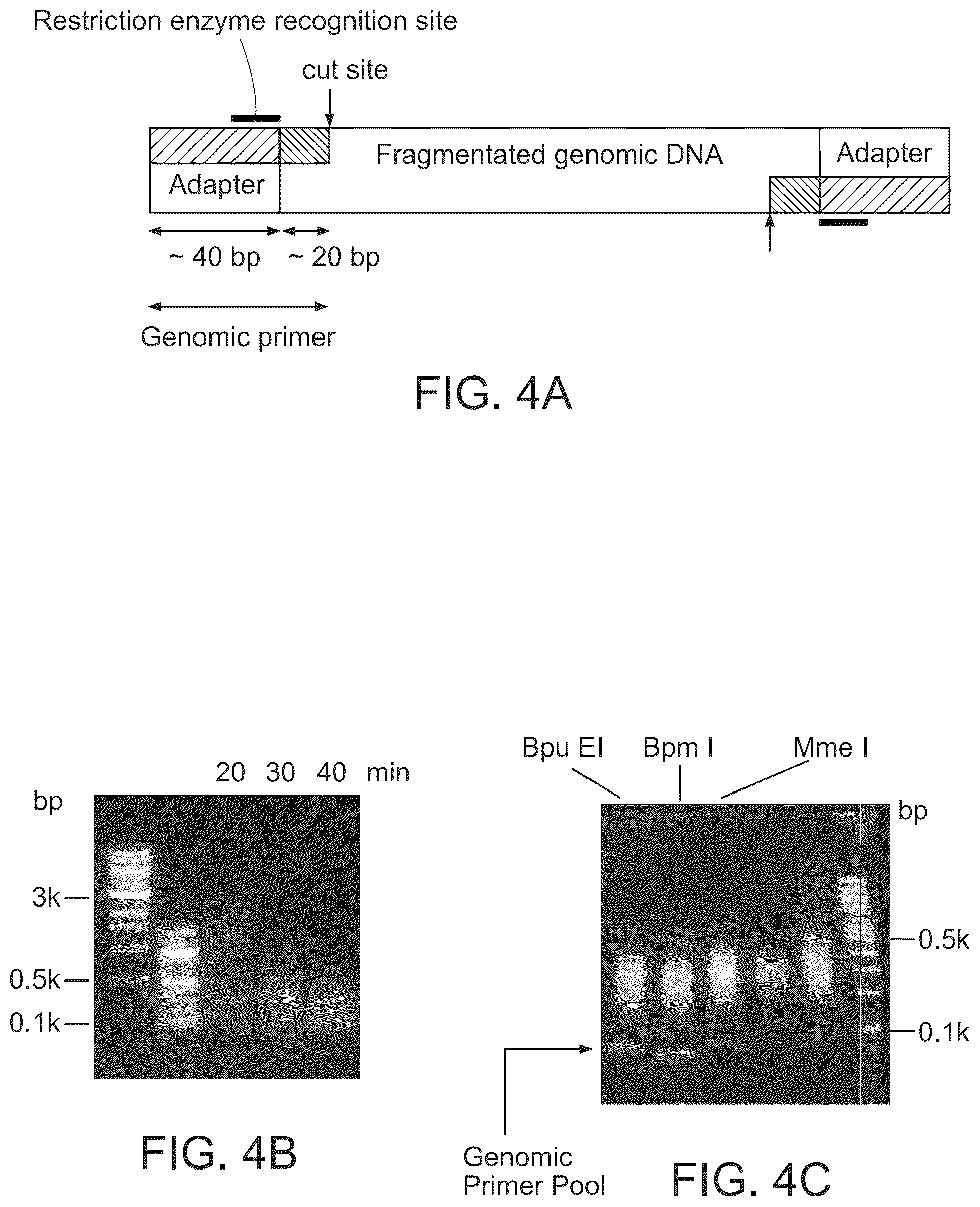 Patent US12448649 Figure 4 – Single cell nucleic acid detection and analysis