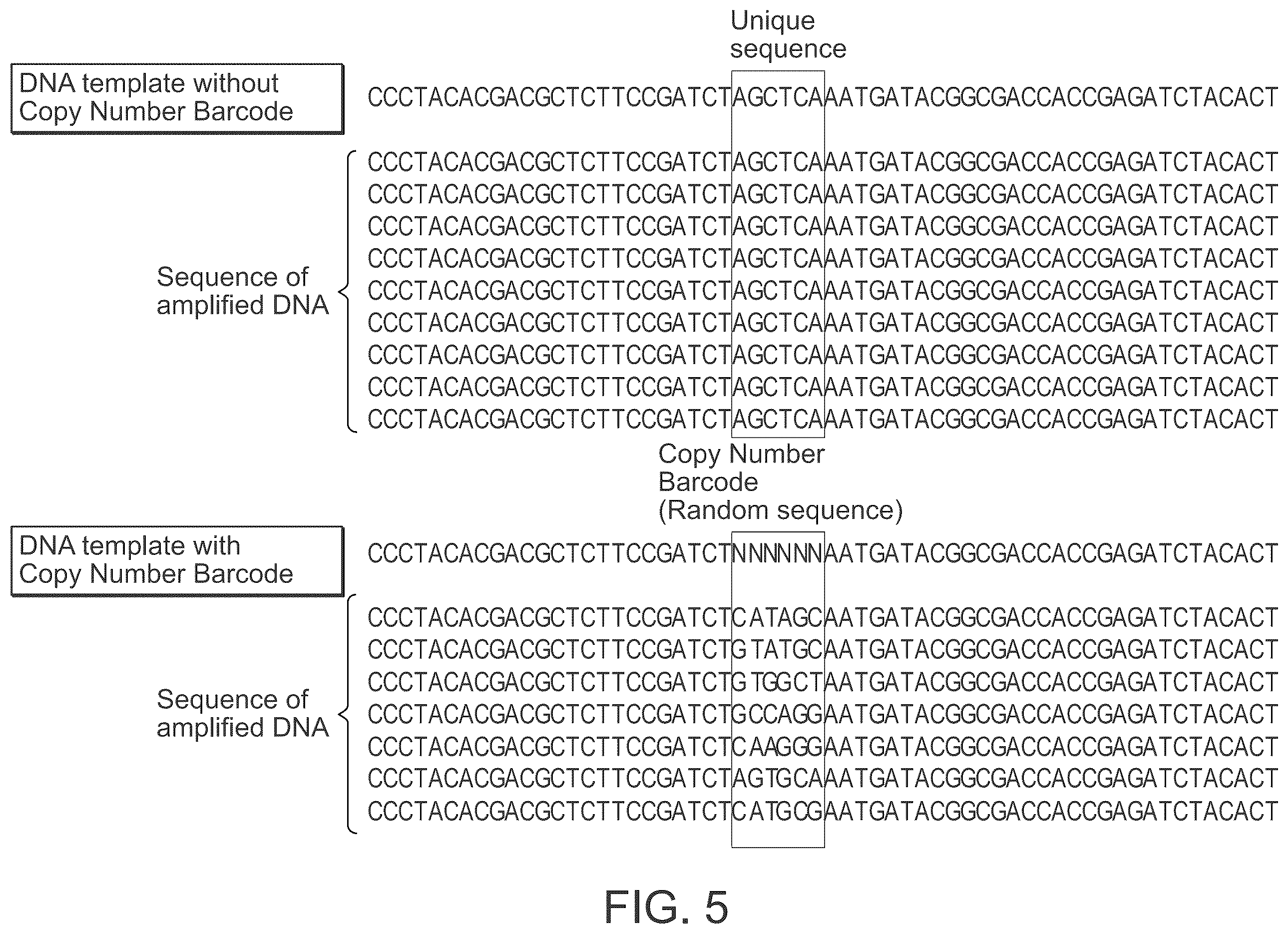 Patent US12448649 Figure 5 – Single cell nucleic acid detection and analysis