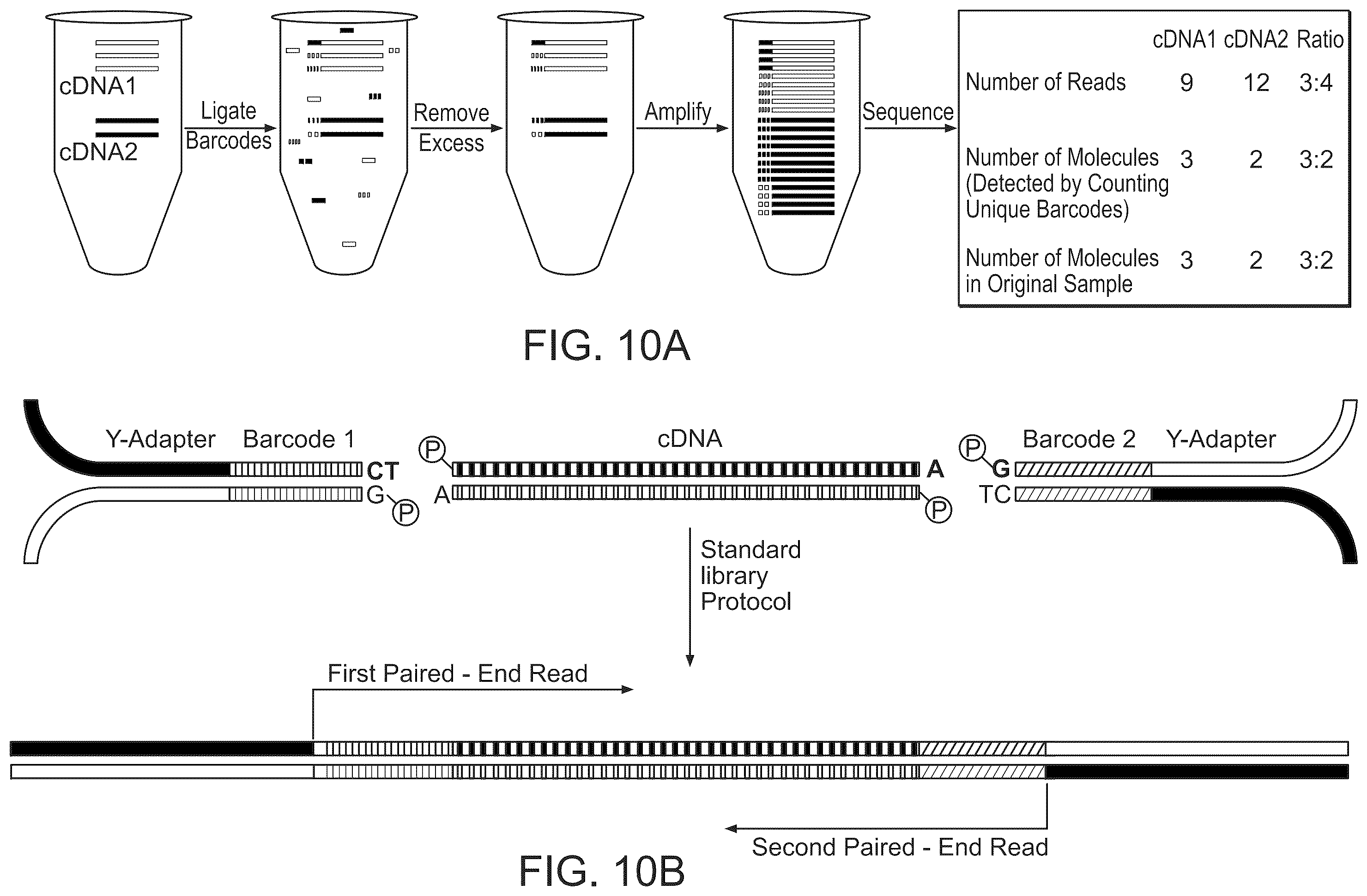 Patent US12448649 Figure 10 – Single cell nucleic acid detection and analysis