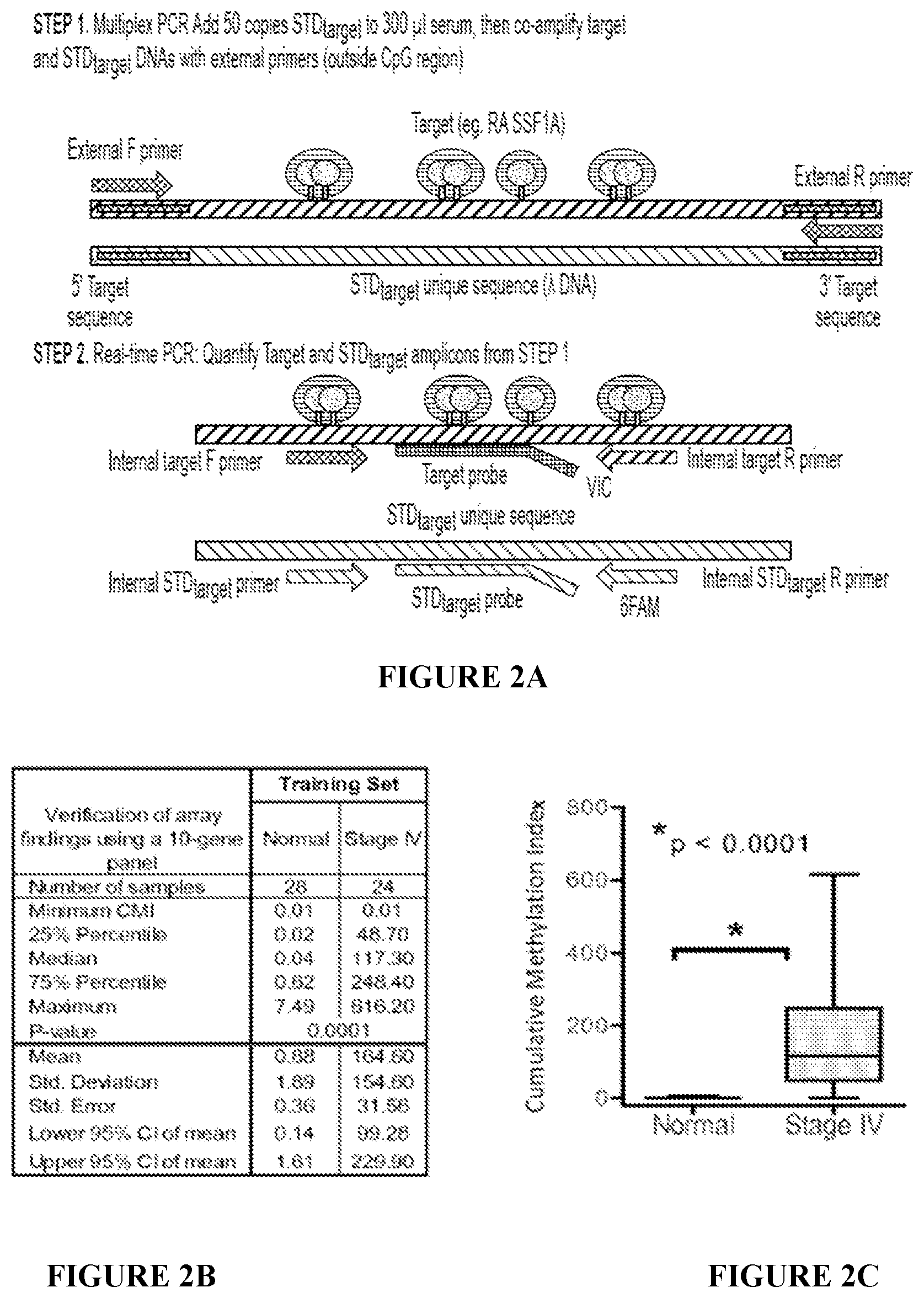 Patent US12448650 Figure 3 – Quantitative multiplex methylation specific PCR method-CMethDNA, reagents, and its use