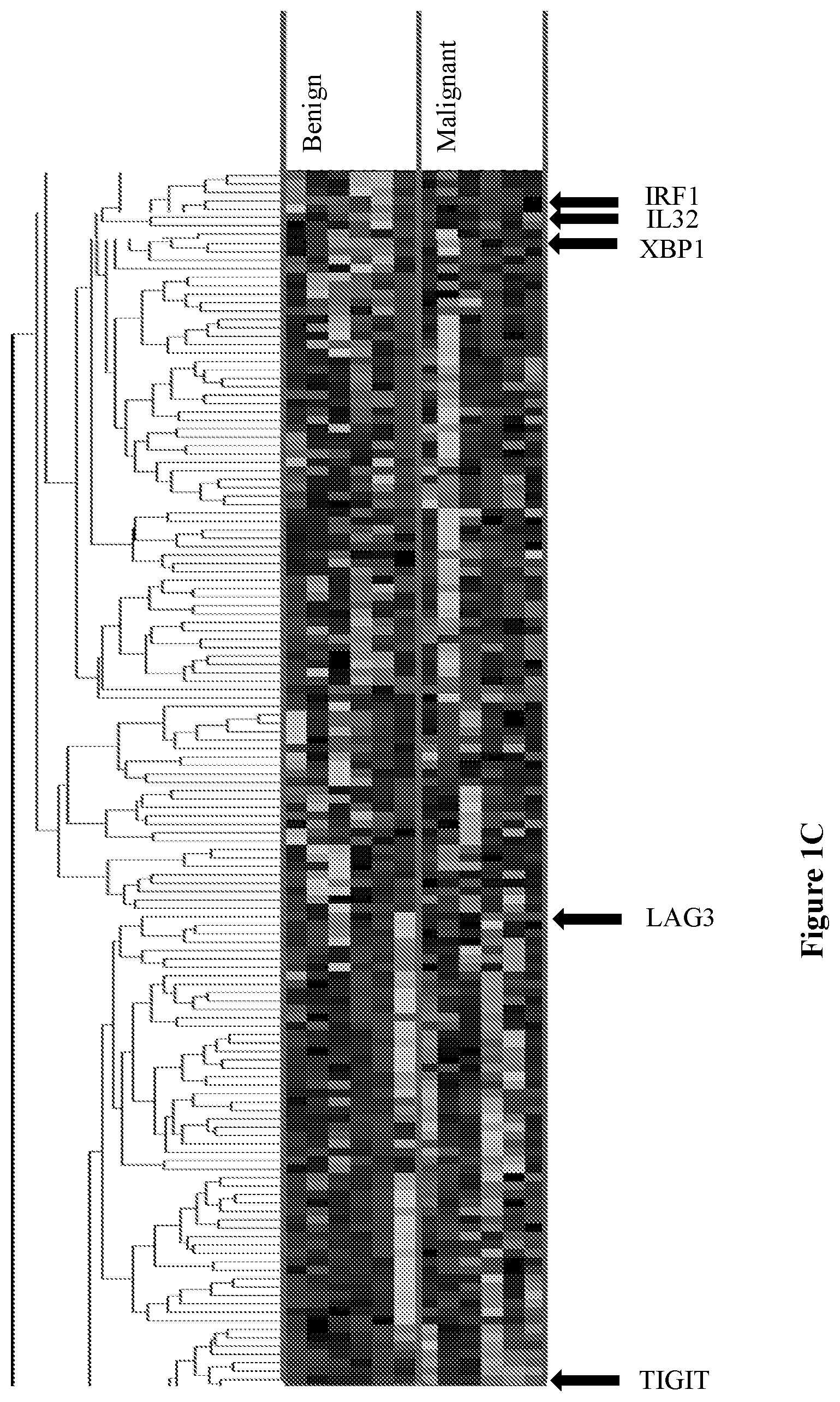 Patent US12448651 Figure 3 – Markers of disease prognosis in multiple sclerosis