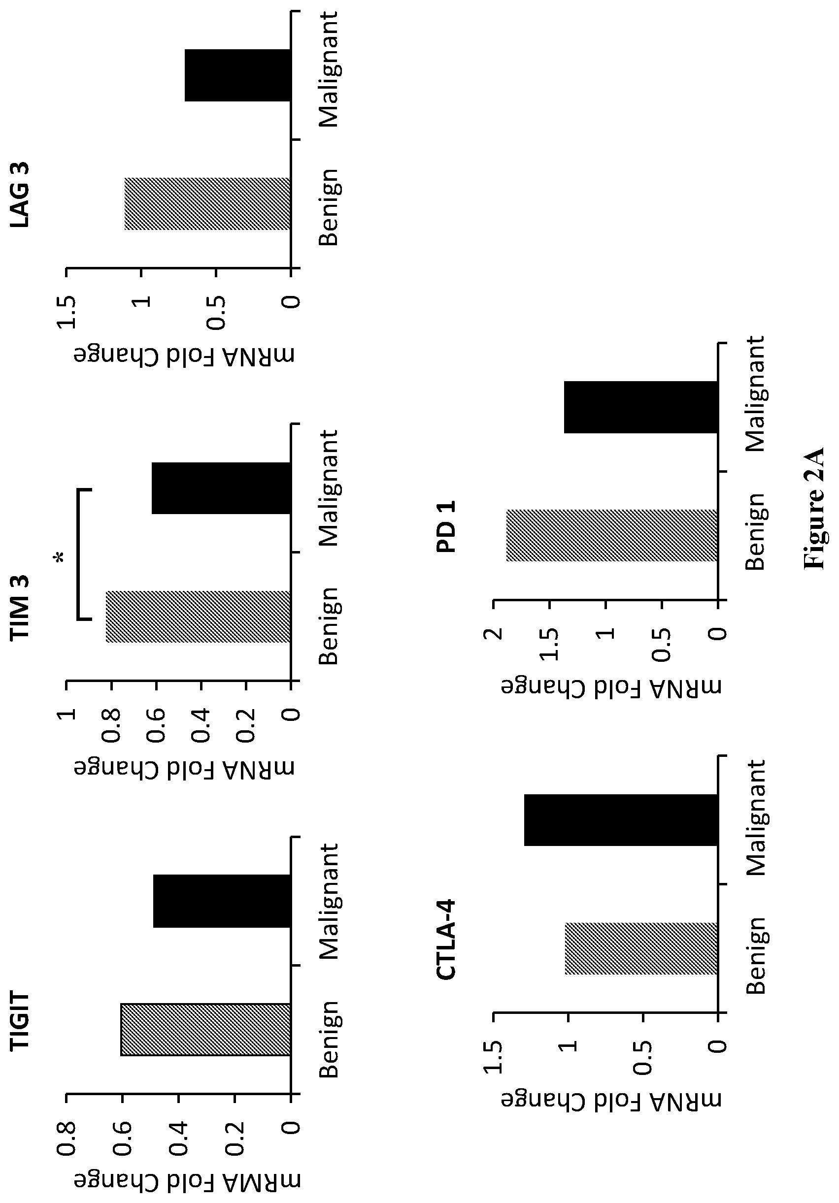Patent US12448651 Figure 4 – Markers of disease prognosis in multiple sclerosis