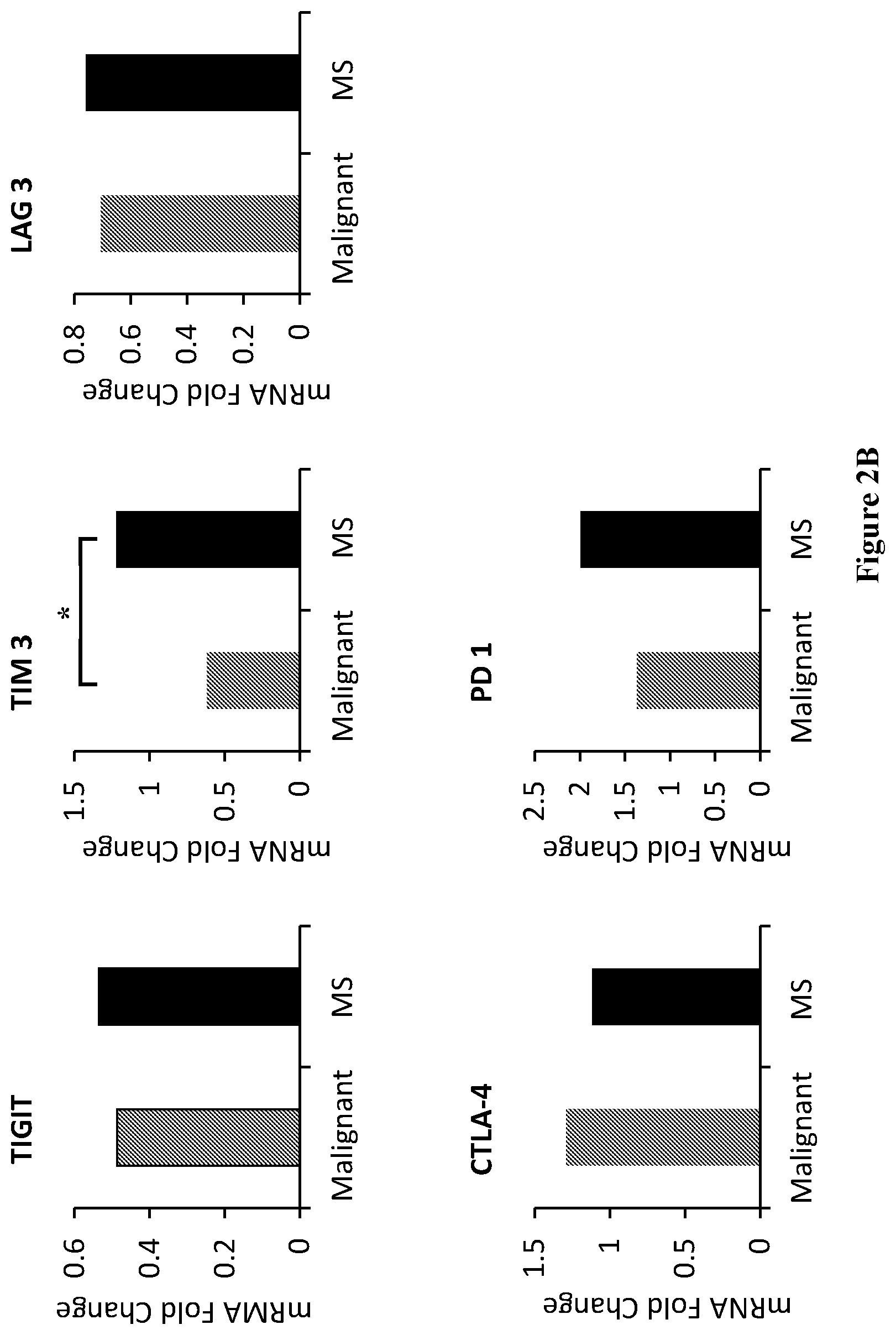 Patent US12448651 Figure 5 – Markers of disease prognosis in multiple sclerosis