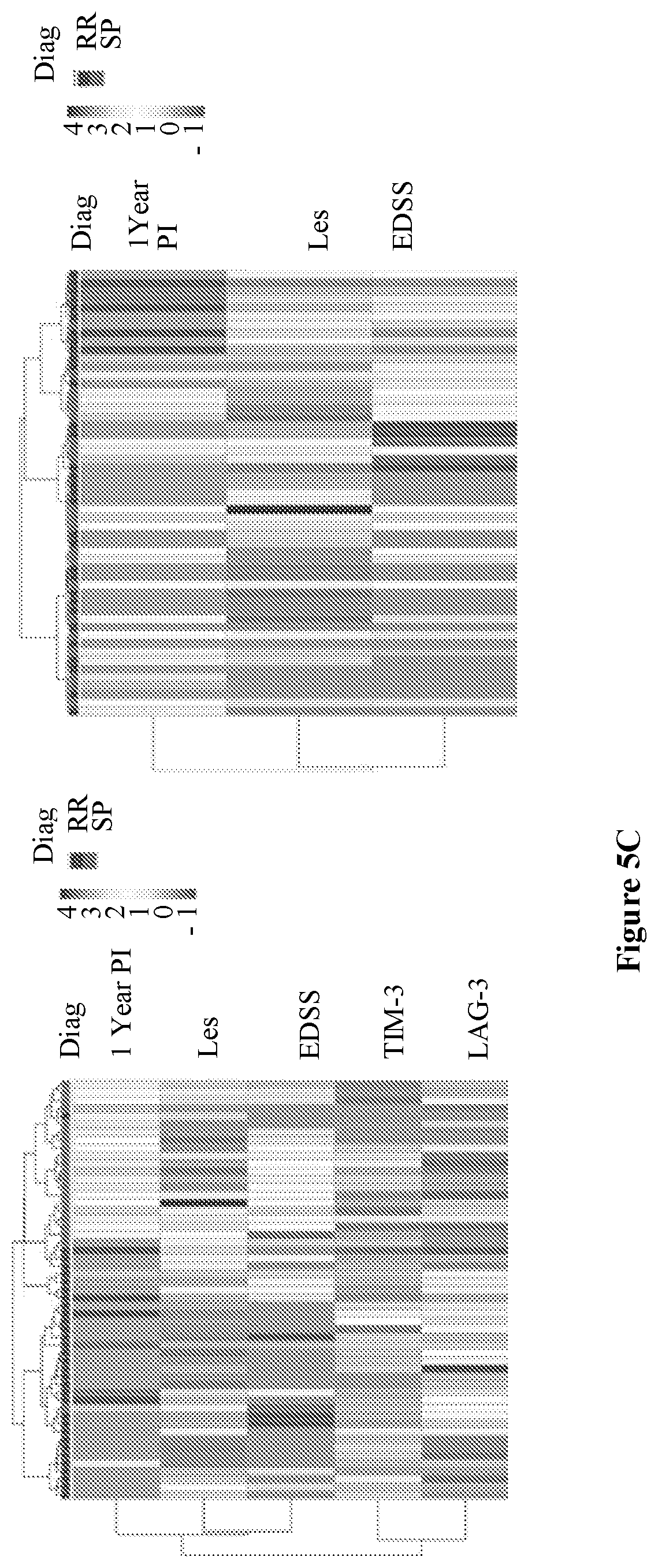 Patent US12448651 Figure 18 – Markers of disease prognosis in multiple sclerosis