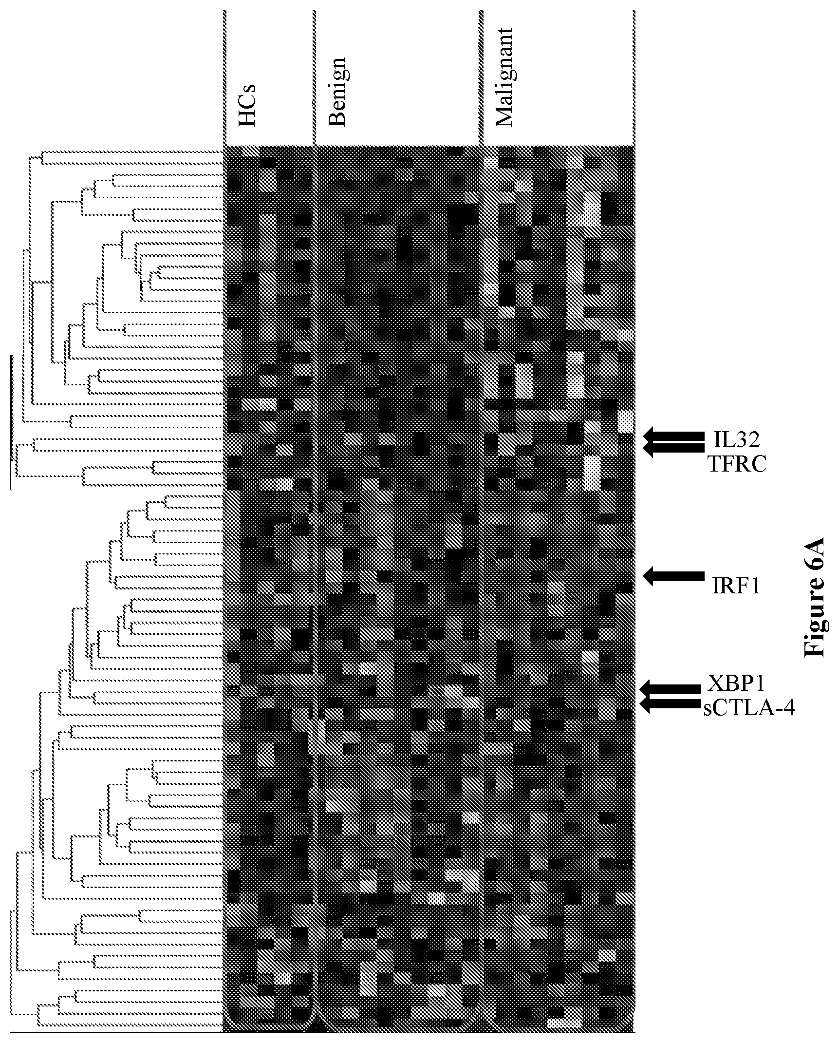 Patent US12448651 Figure 20 – Markers of disease prognosis in multiple sclerosis