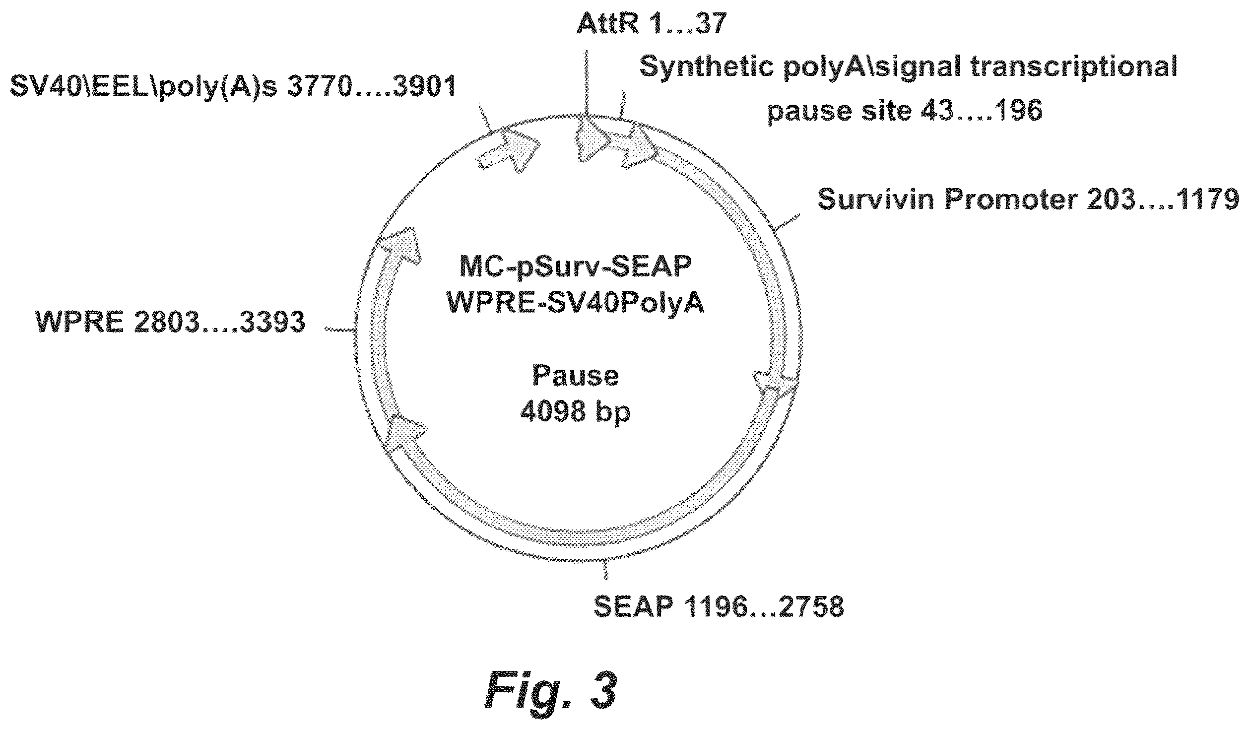 Patent US12448652 Figure 3 – Methods and compositions for synthetic biomarkers