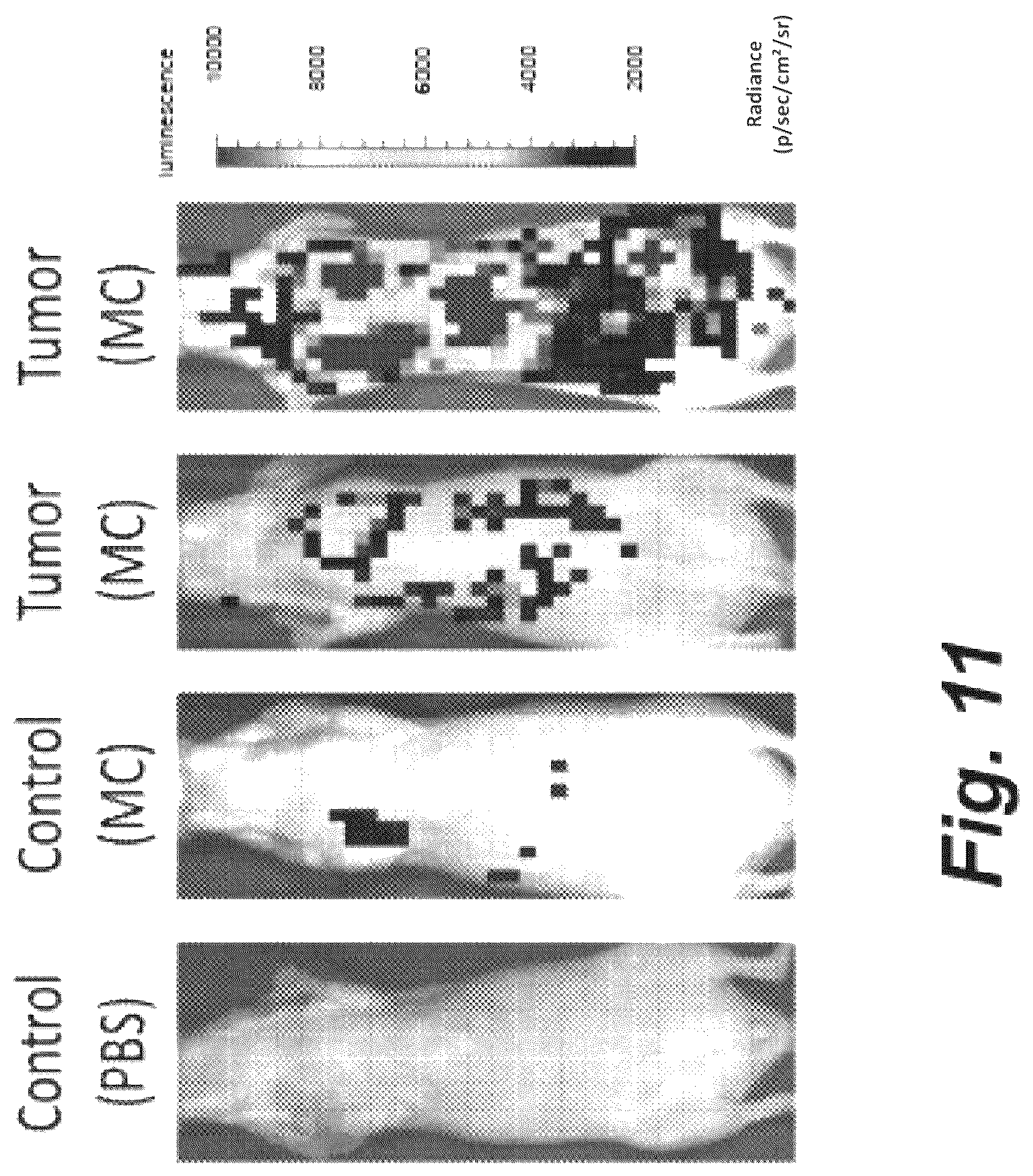 Patent US12448652 Figure 9 – Methods and compositions for synthetic biomarkers