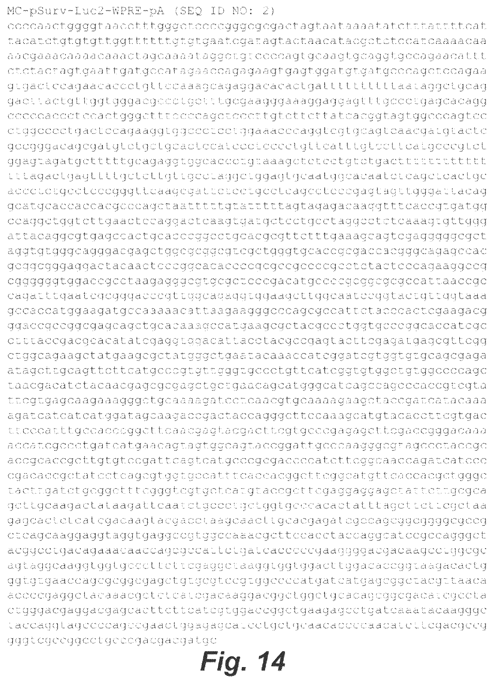 Patent US12448652 Figure 13 – Methods and compositions for synthetic biomarkers
