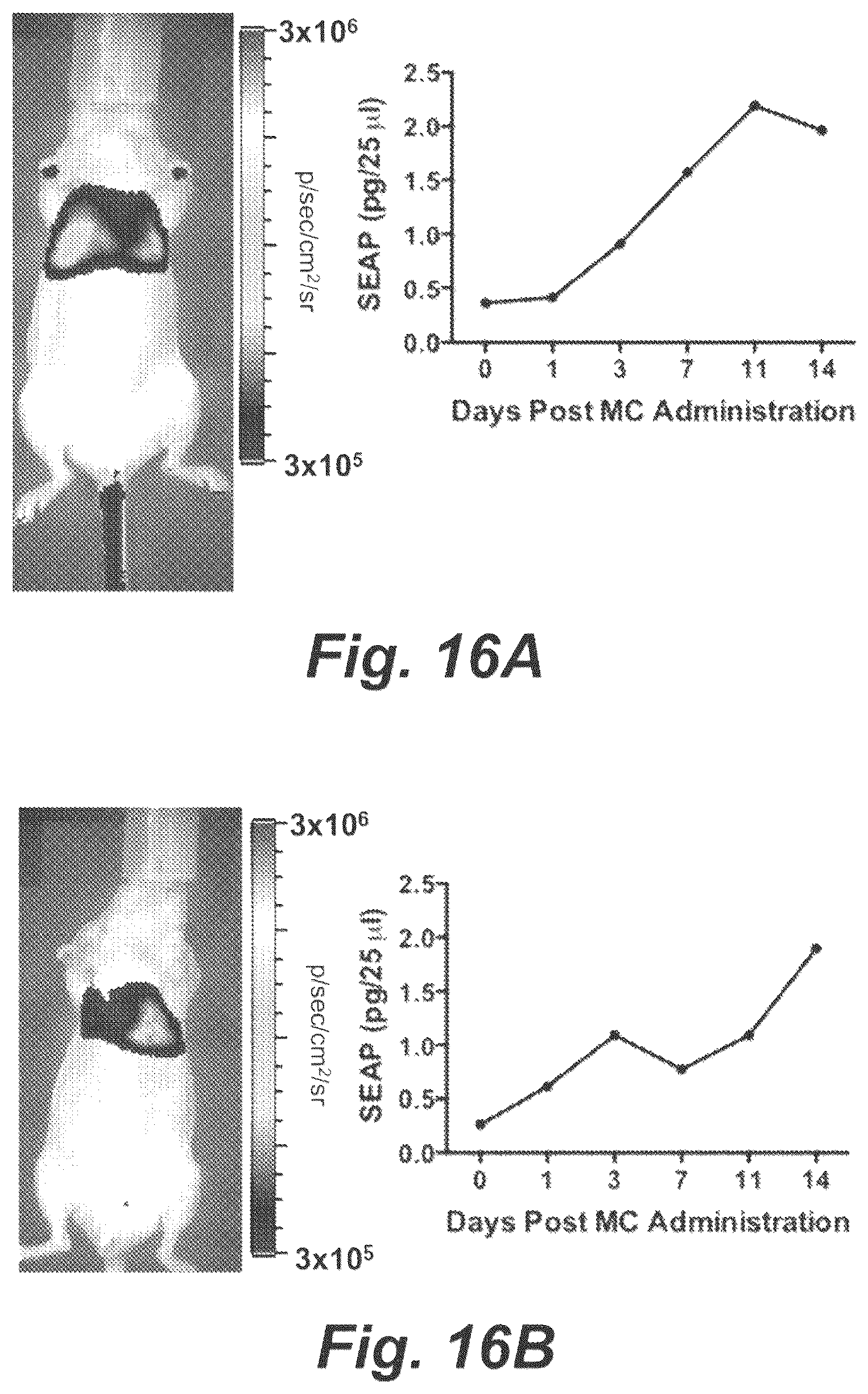 Patent US12448652 Figure 16 – Methods and compositions for synthetic biomarkers