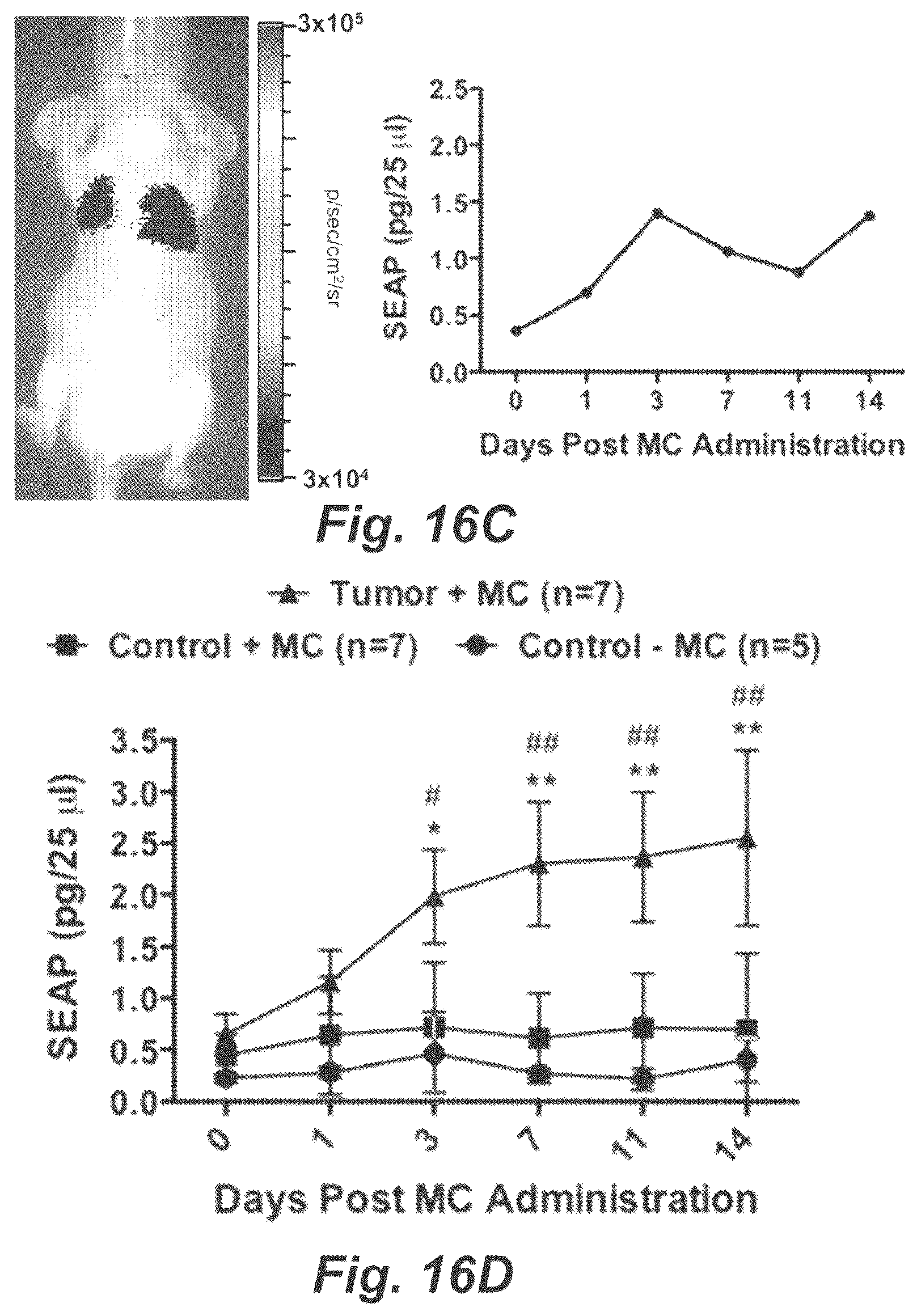 Patent US12448652 Figure 17 – Methods and compositions for synthetic biomarkers
