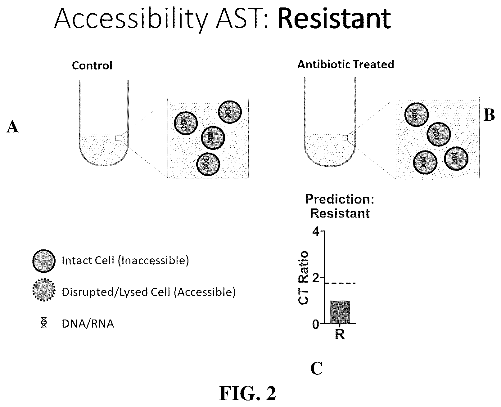 Patent US12448655 Figure 2 – Antibiotic susceptibility of microorganisms and related methods and systems