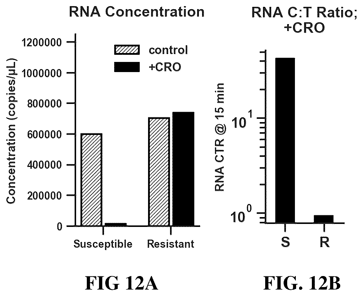 Patent US12448655 Figure 12 – Antibiotic susceptibility of microorganisms and related methods and systems
