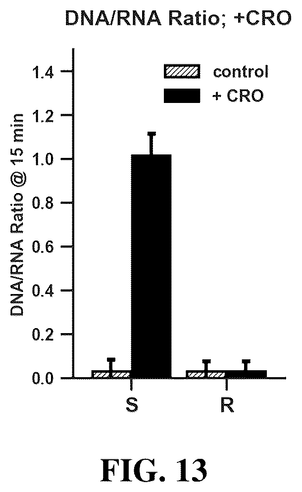 Patent US12448655 Figure 13 – Antibiotic susceptibility of microorganisms and related methods and systems