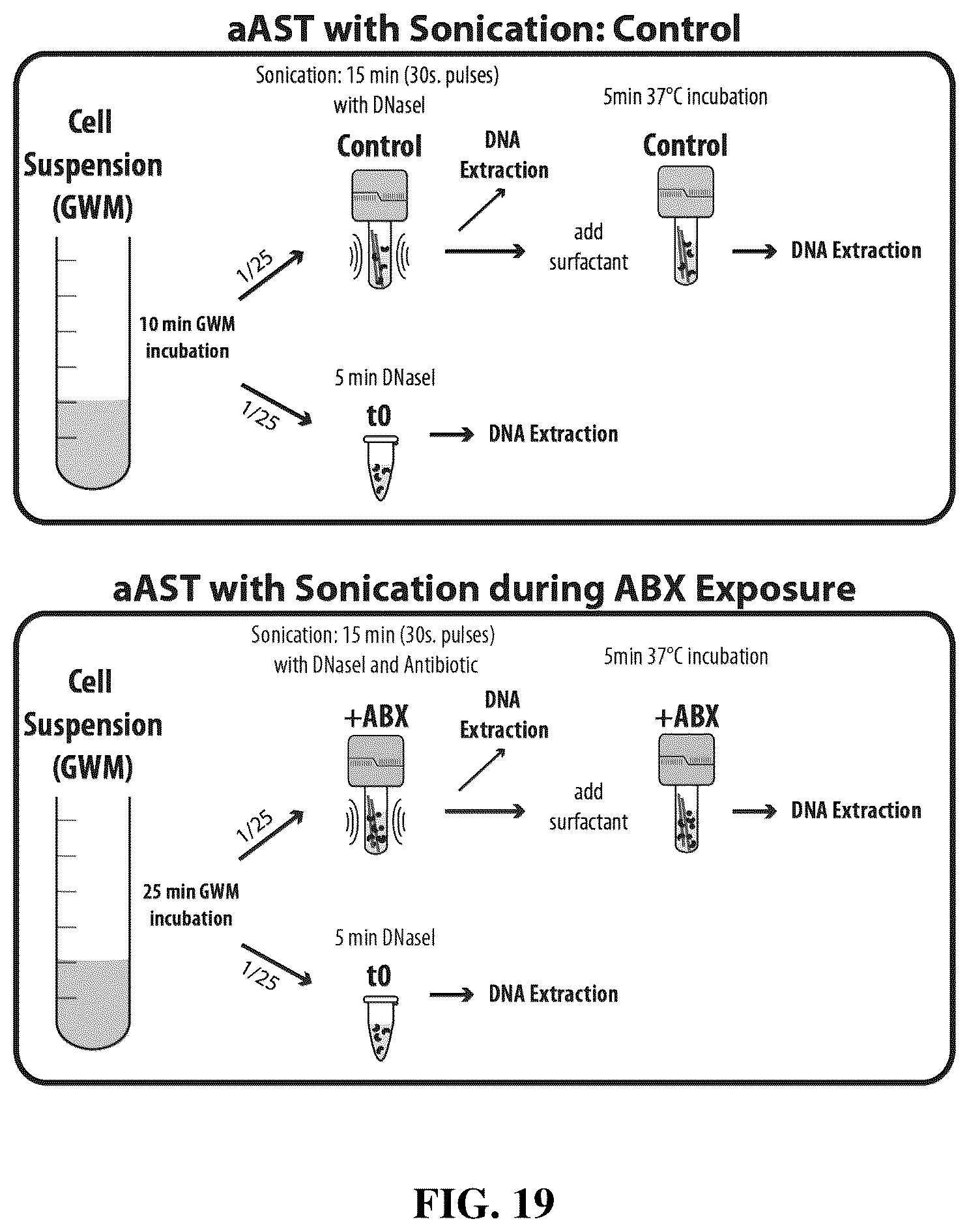 Patent US12448655 Figure 19 – Antibiotic susceptibility of microorganisms and related methods and systems