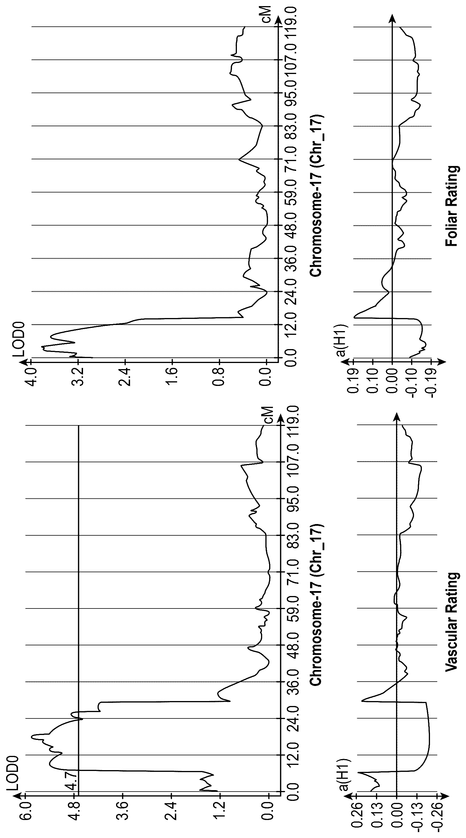 Patent US12448656 Figure 1 – Methods and compositions to select and/or predict cotton plants resistant to Fusarium race-4 resistance in cotton