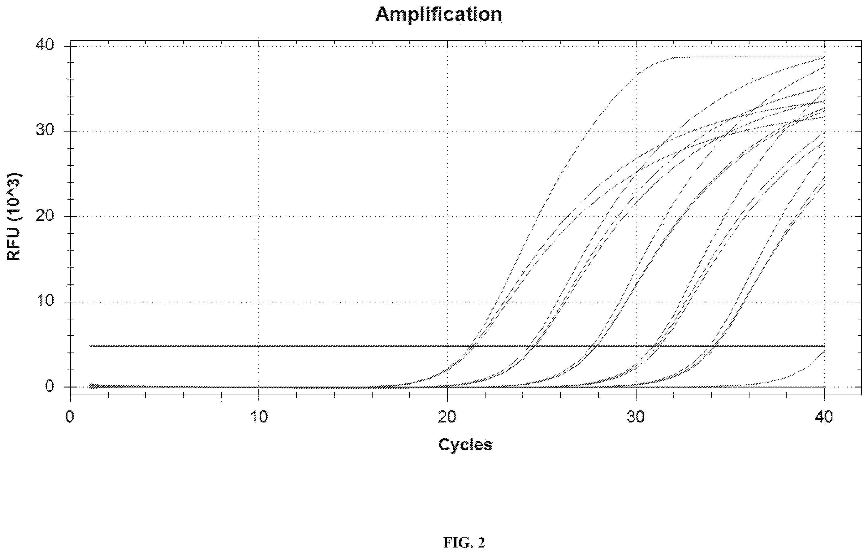 Patent US12448658 Figure 2 – Primer and probe sets for pathogen detection of infection in transplant patient, kit and use thereof