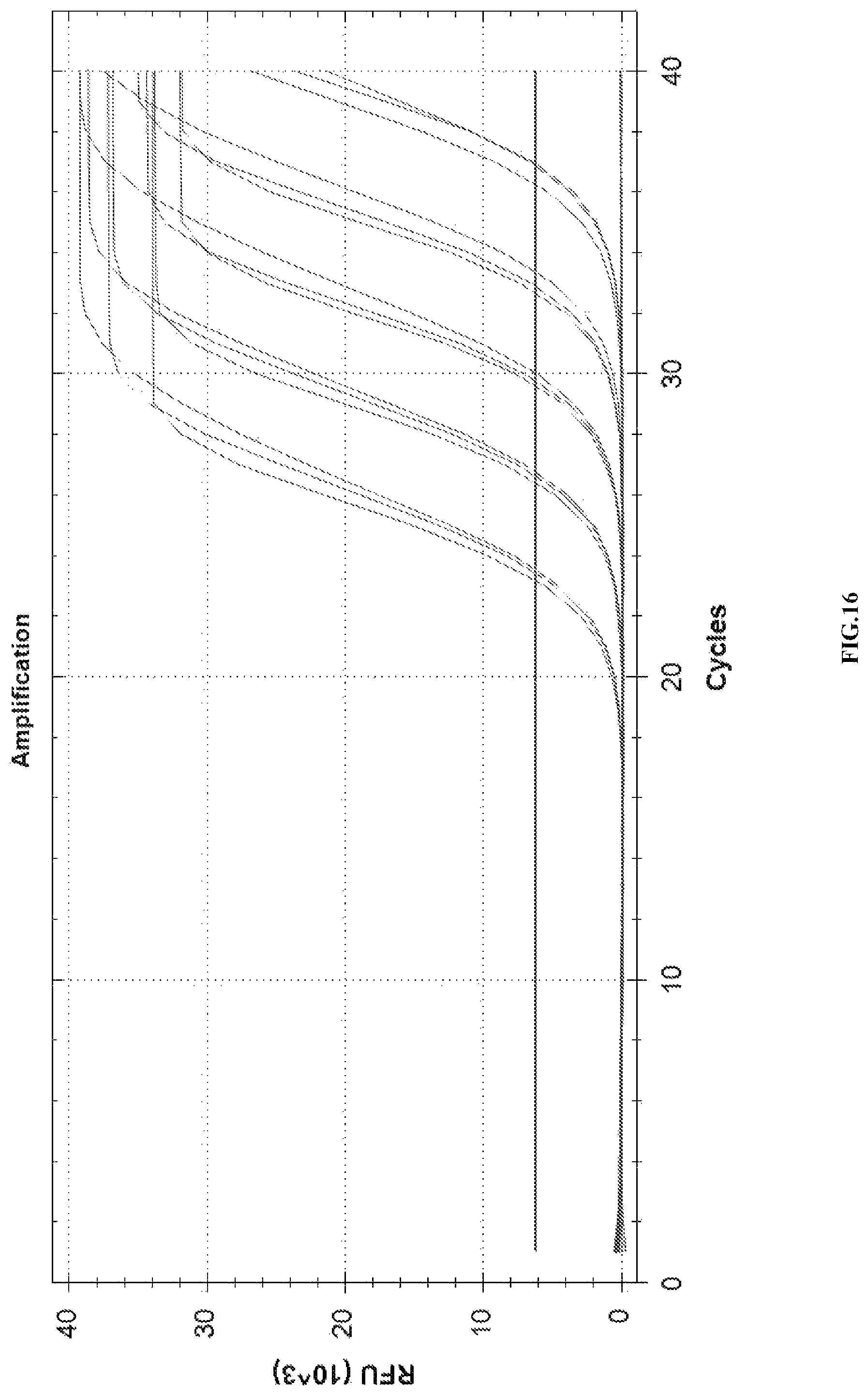 Patent US12448658 Figure 16 – Primer and probe sets for pathogen detection of infection in transplant patient, kit and use thereof