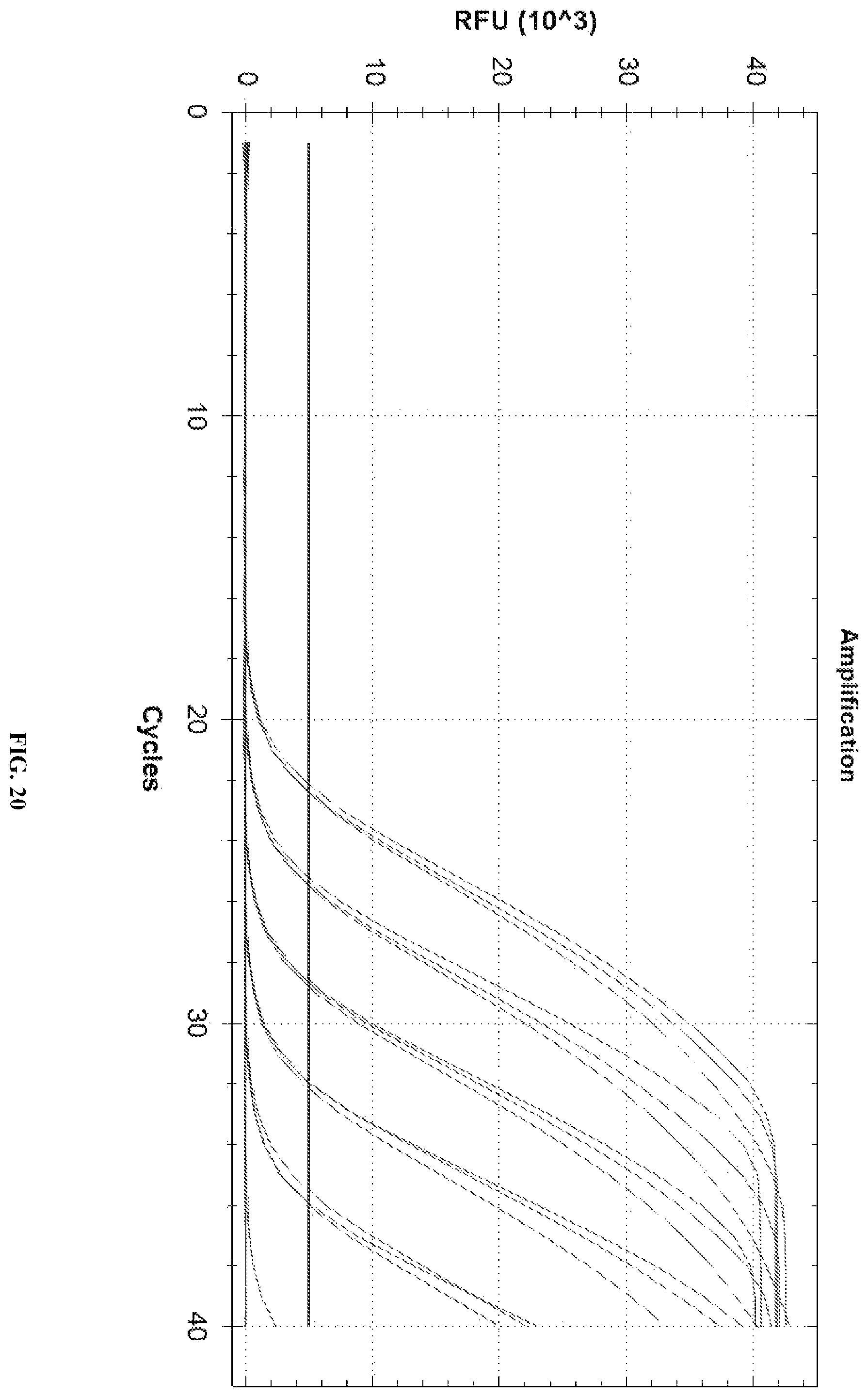 Patent US12448658 Figure 20 – Primer and probe sets for pathogen detection of infection in transplant patient, kit and use thereof