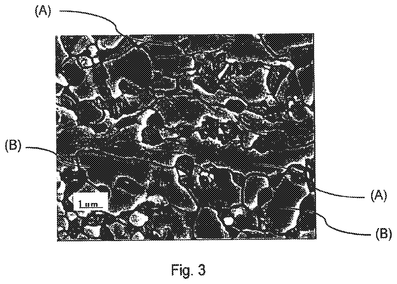 Patent US12448661 Figure 2 – Very high-strength, cold-rolled, dual steel sheets