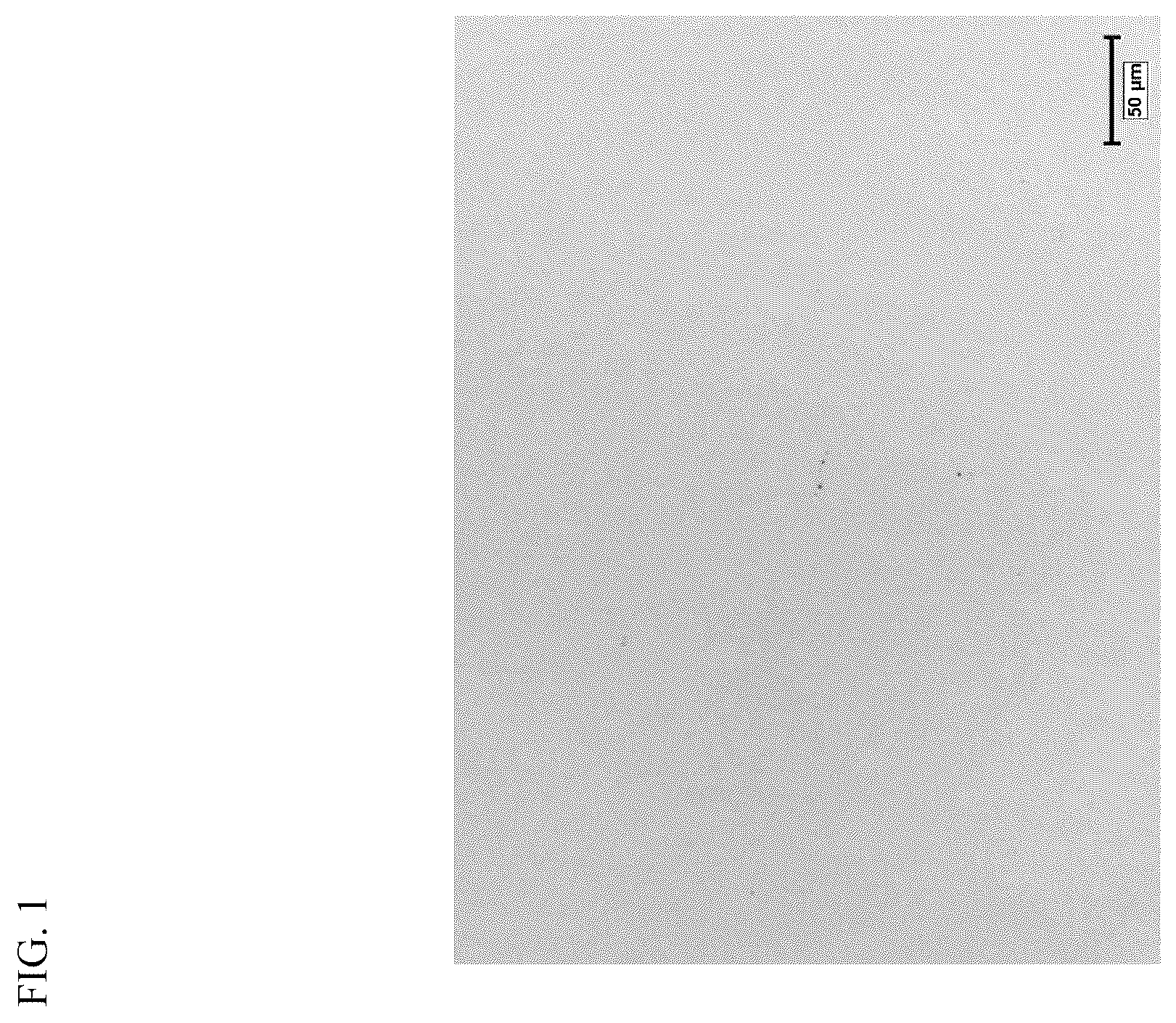Patent US12448672 Figure 1 – Grain-oriented electrical steel sheet and method for producing same