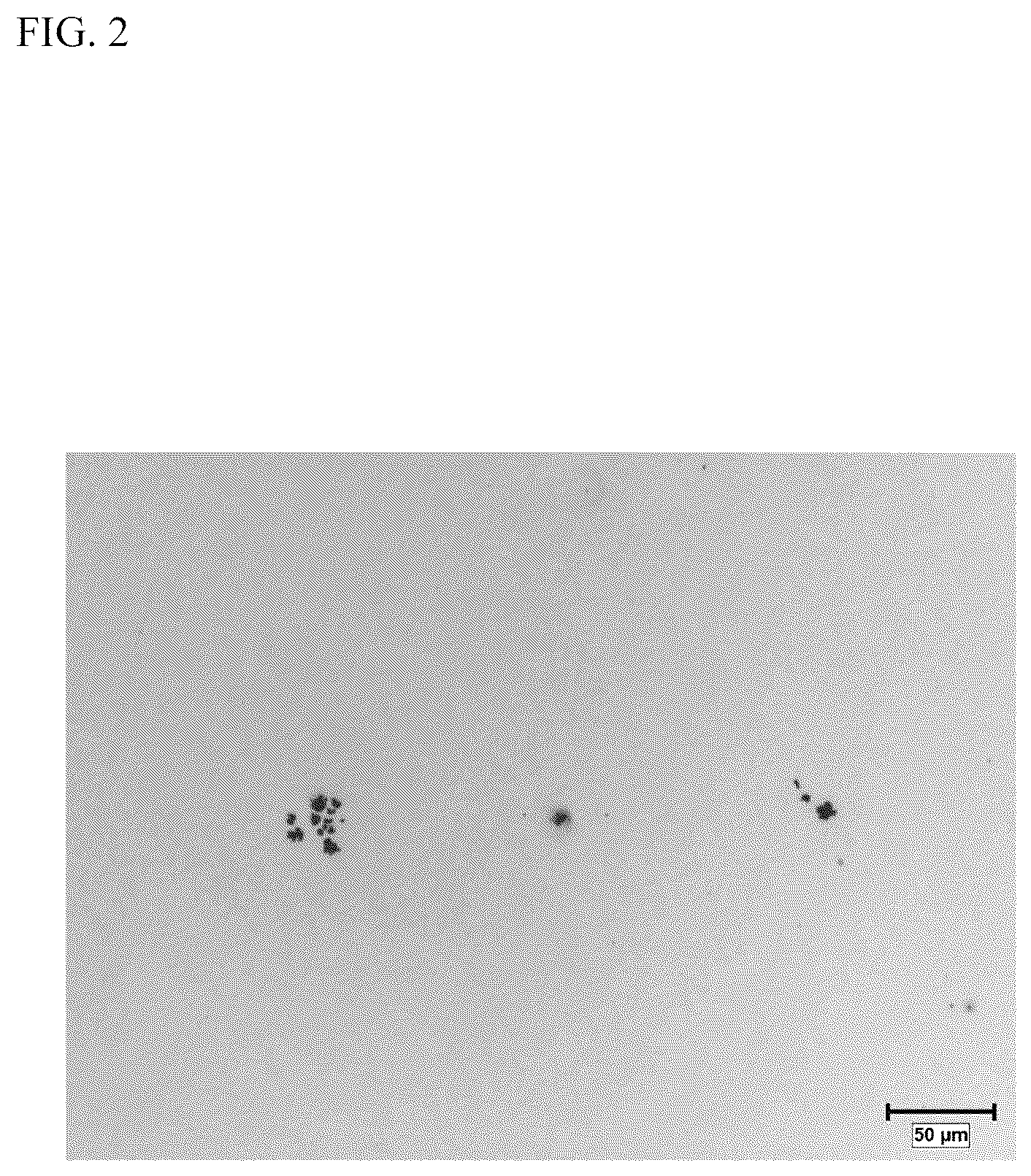 Patent US12448672 Figure 2 – Grain-oriented electrical steel sheet and method for producing same