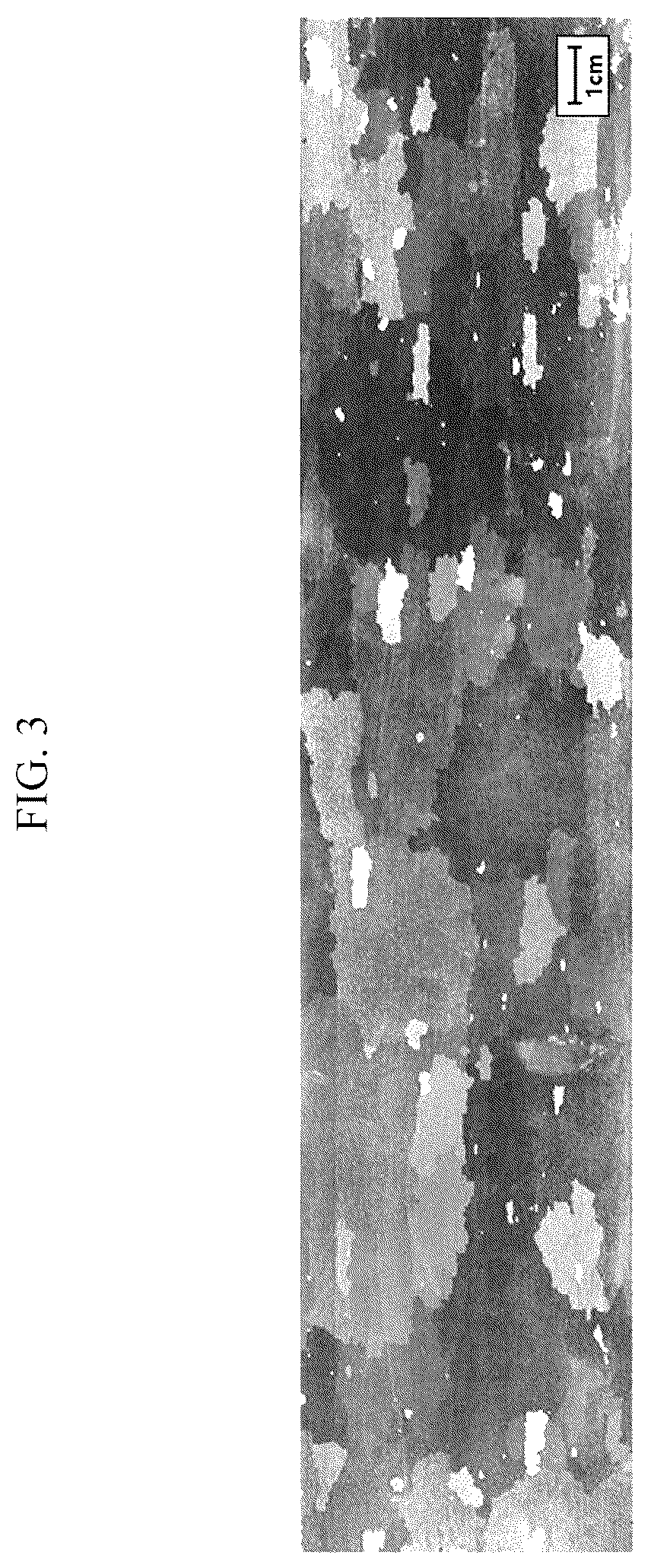 Patent US12448672 Figure 3 – Grain-oriented electrical steel sheet and method for producing same