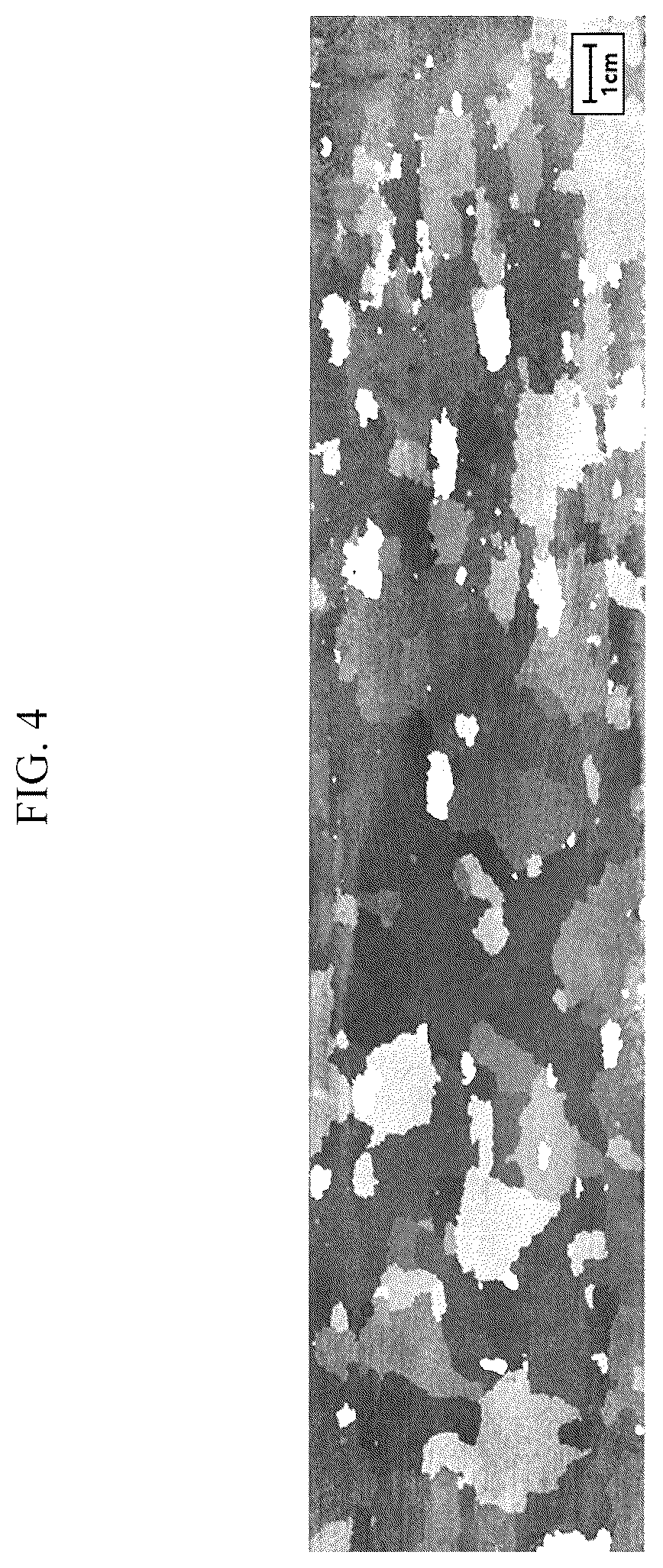 Patent US12448672 Figure 4 – Grain-oriented electrical steel sheet and method for producing same