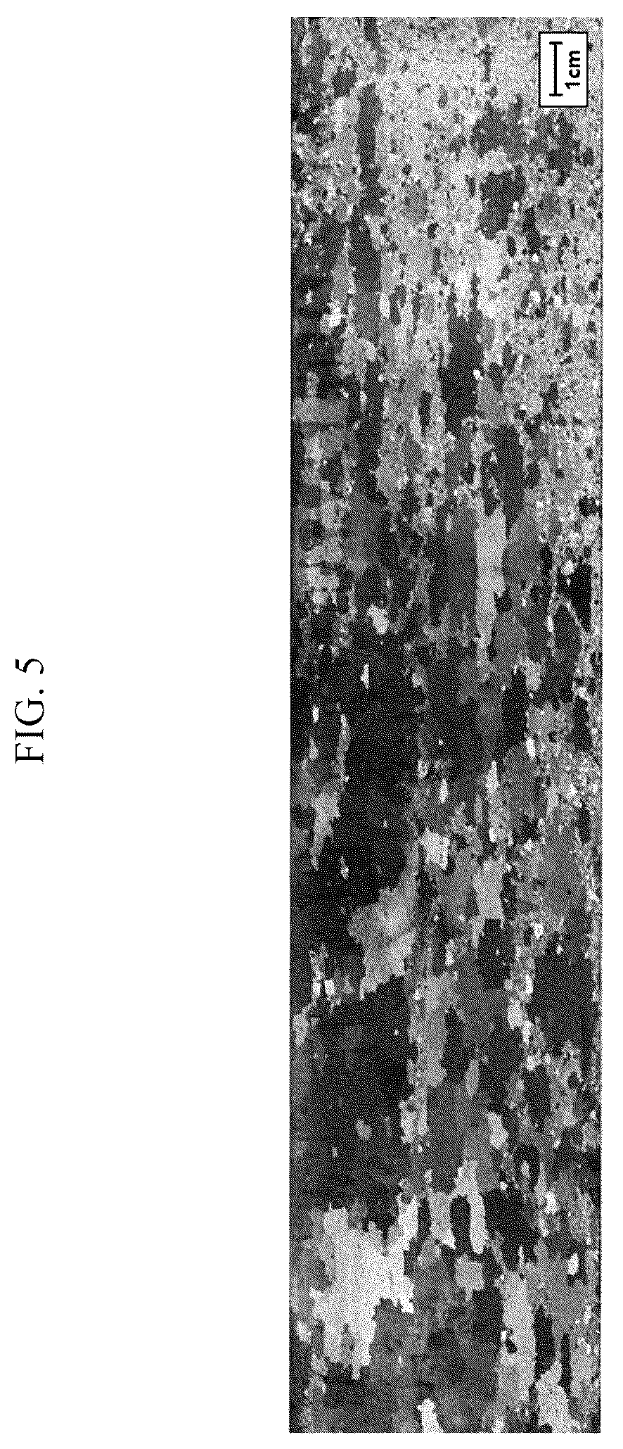 Patent US12448672 Figure 5 – Grain-oriented electrical steel sheet and method for producing same
