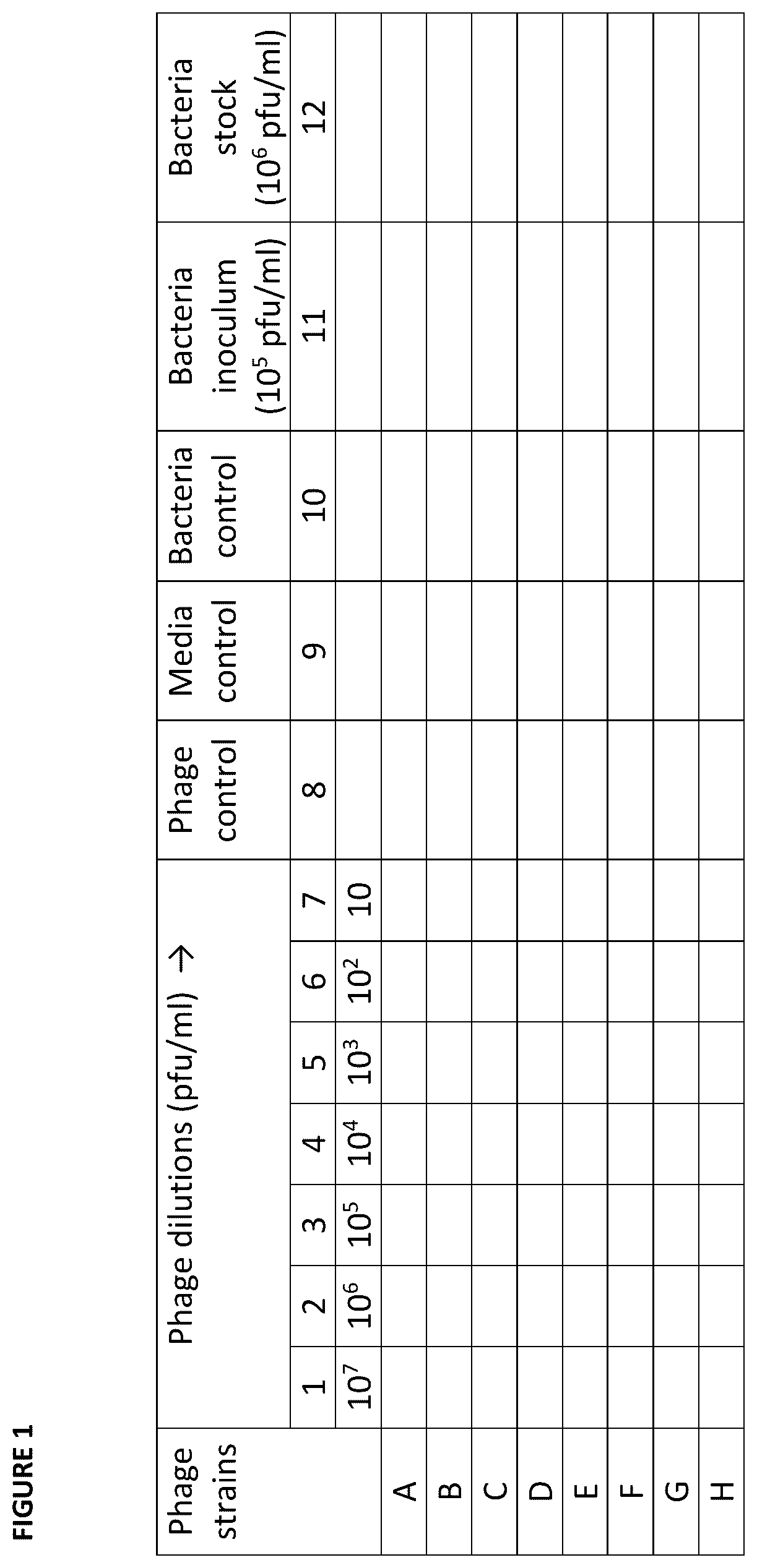 Patent US12448705 Figure 1 – Bacteriophage compositions and methods of selection of components against specific bacteria
