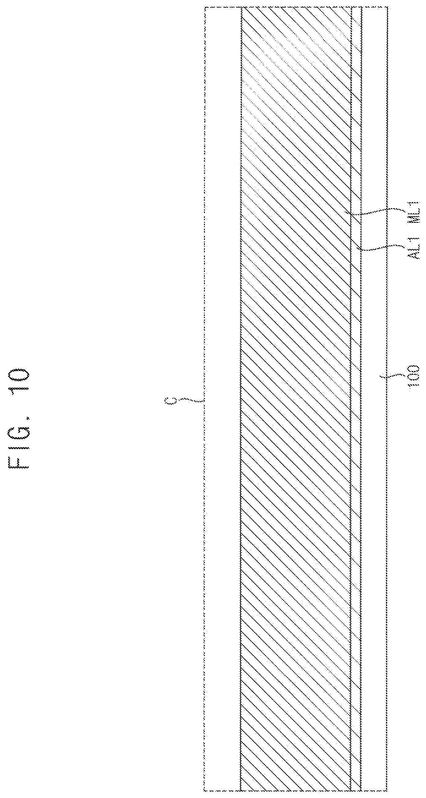 Patent US12453264 Figure 10 – Display device and method of manufacturing the same