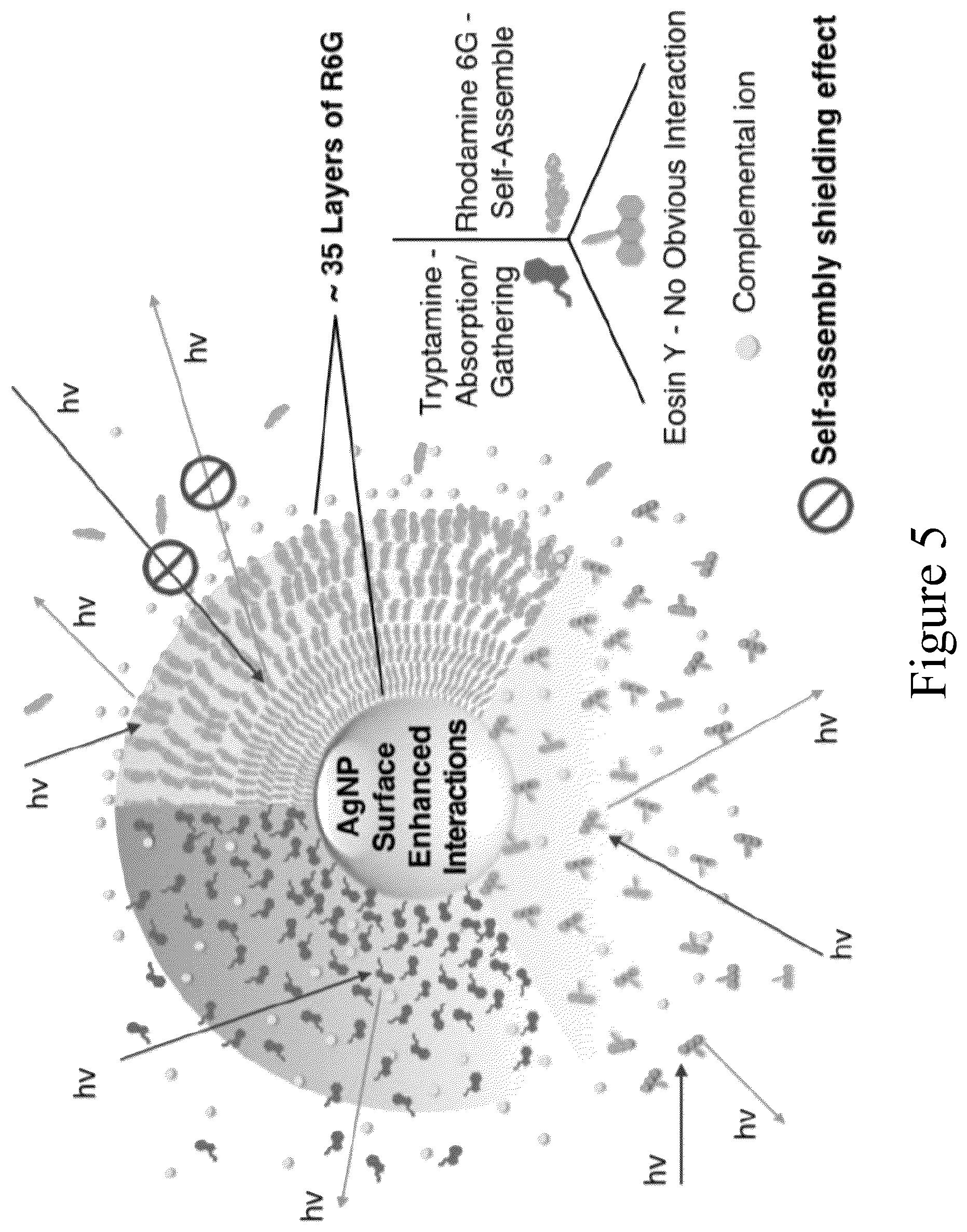 Patent US12455217 Figure 12 – Silver nanoparticle surface enabled self- assembly of organic dye molecules